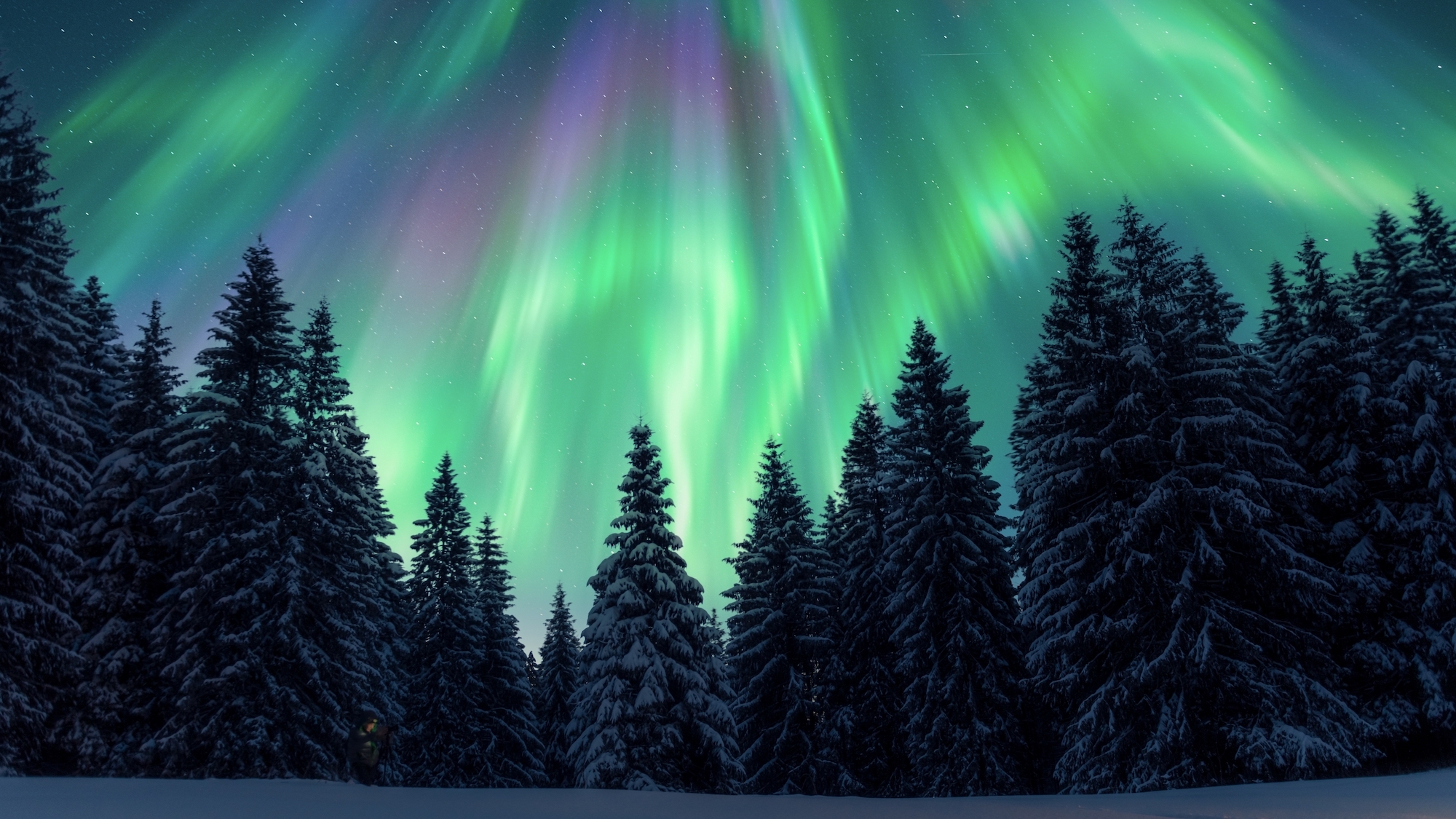 shutterstock-2727101809