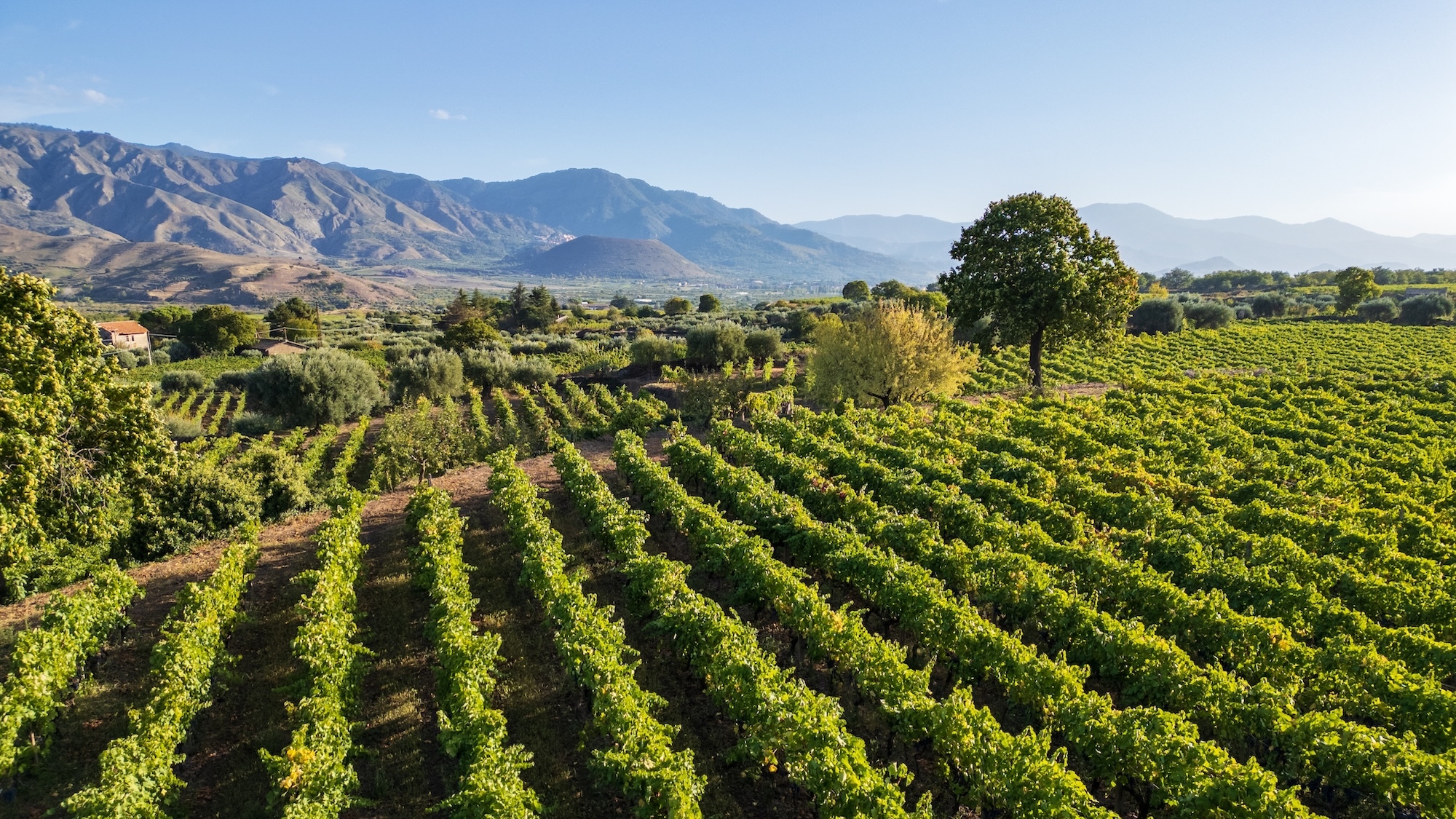start-up-bienesis-primee-las-vegas-parapluie-prote