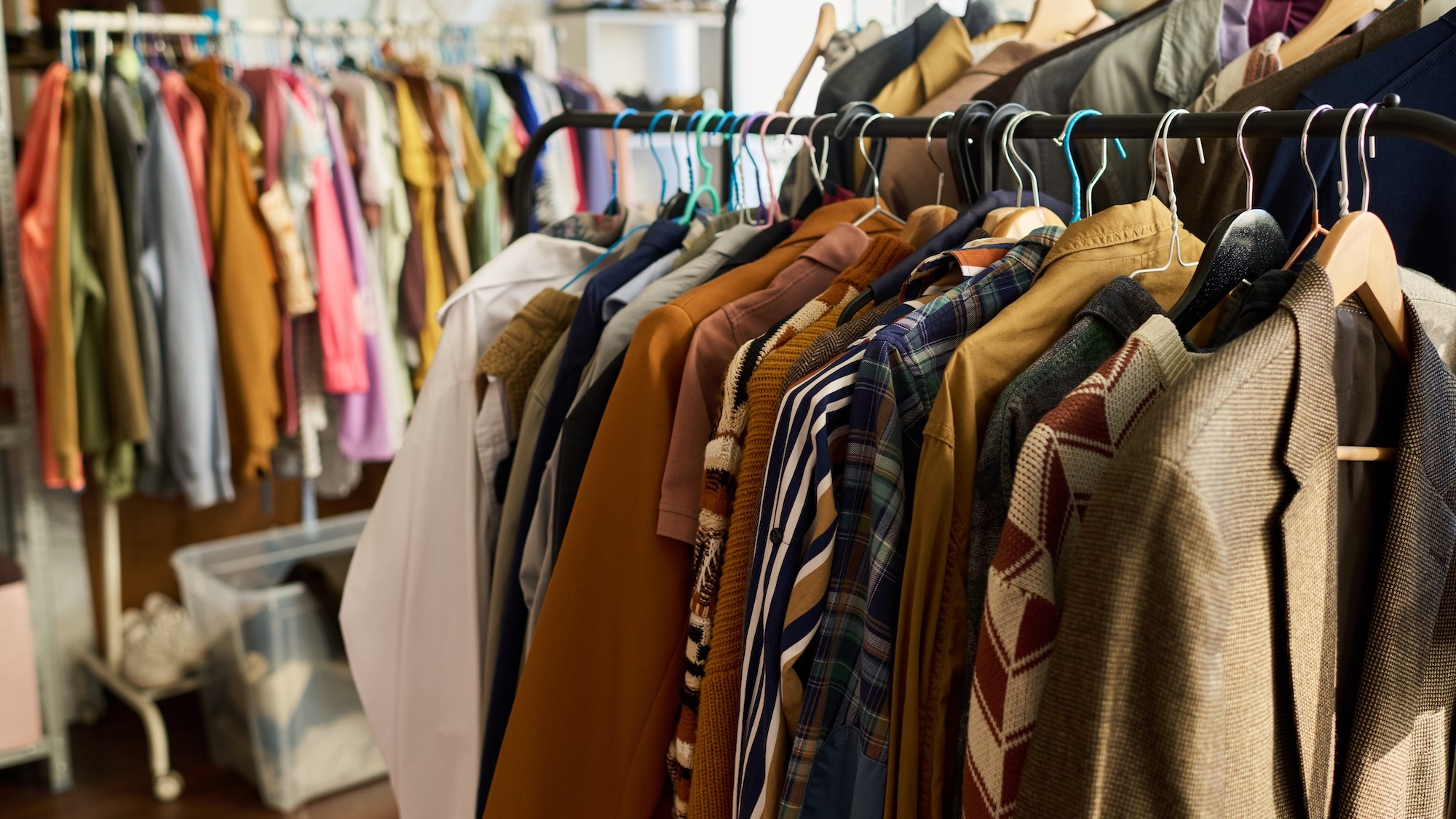 shutterstock-2689993737