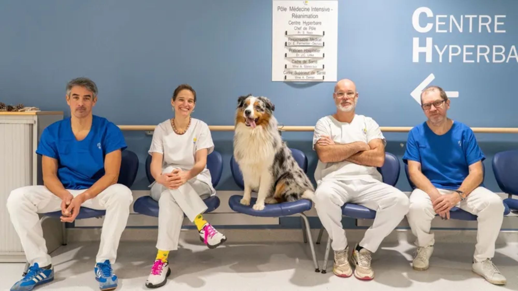 gens-hopital-chien-soignants