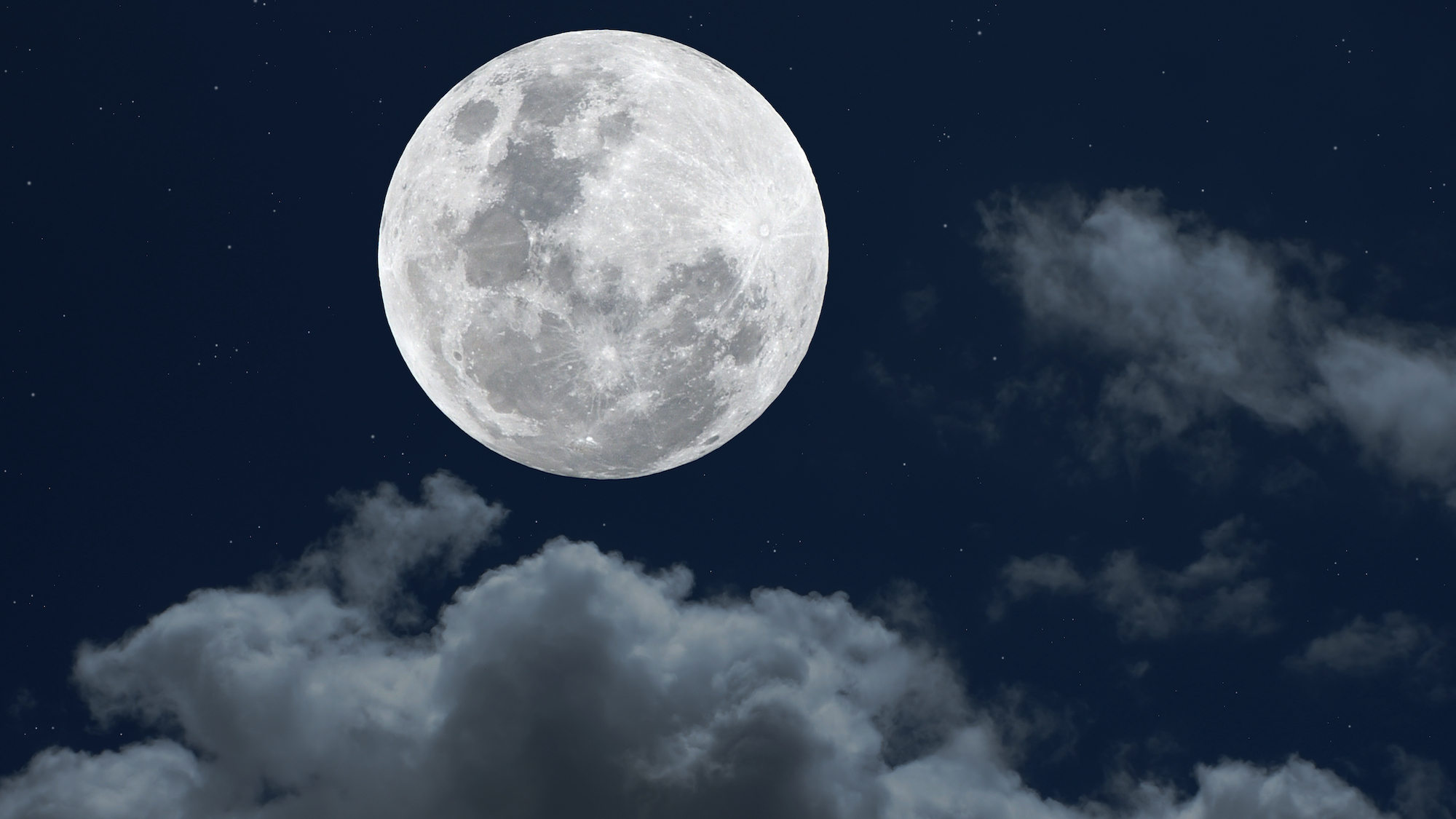 shutterstock-1663945378