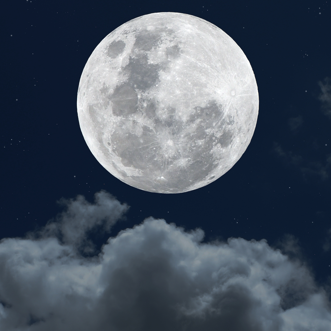 shutterstock-1663945378