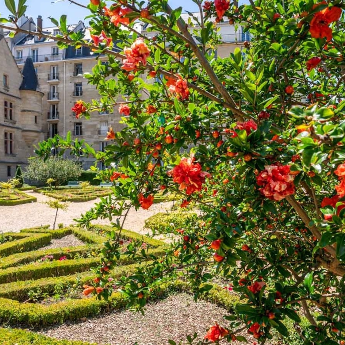 Les 12 plus beaux jardins secrets pour éviter la canicule loin des foules image-processing20220510-28764-9xhyft