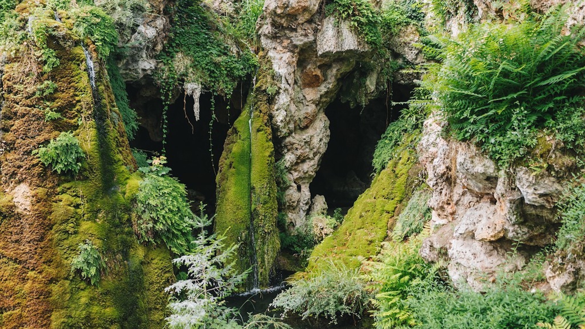 Ce parc féerique de 2,5 hectares vous transporte dans un film des studios Ghibli 544736428-817560864284901-6090606928089787188-n