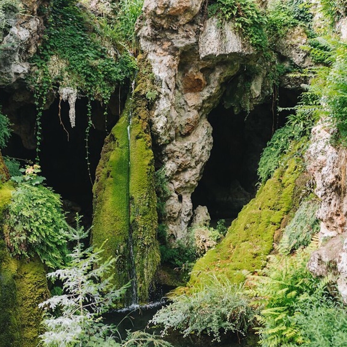 Ce parc féerique de 2,5 hectares vous transporte dans un film des studios Ghibli 544736428-817560864284901-6090606928089787188-n