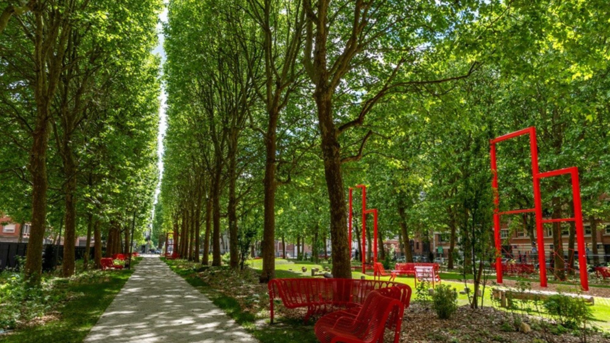 parc-bancs-rouges-arbres