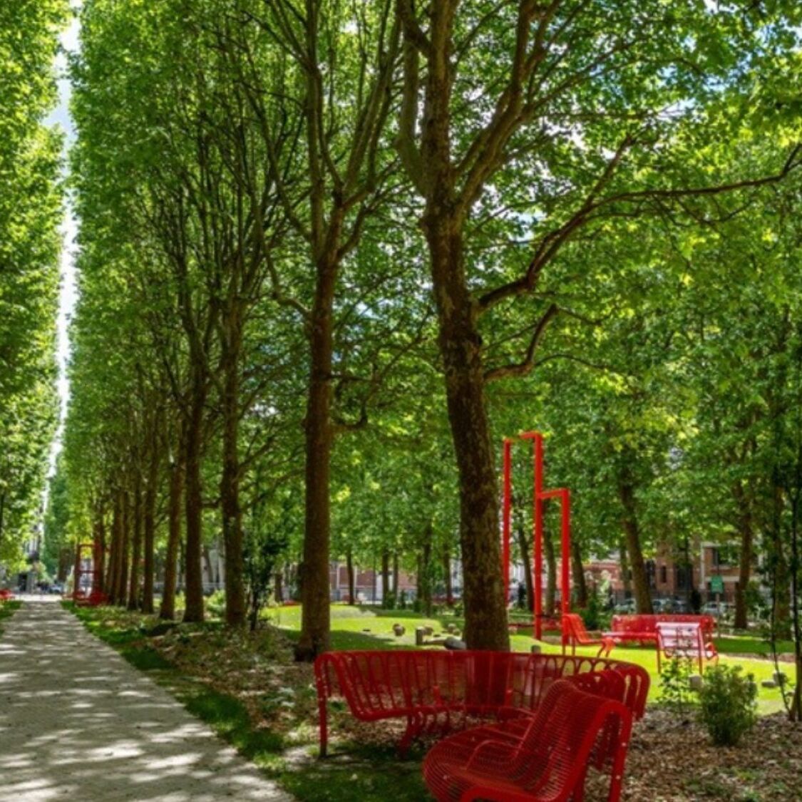 parc-bancs-rouges-arbres