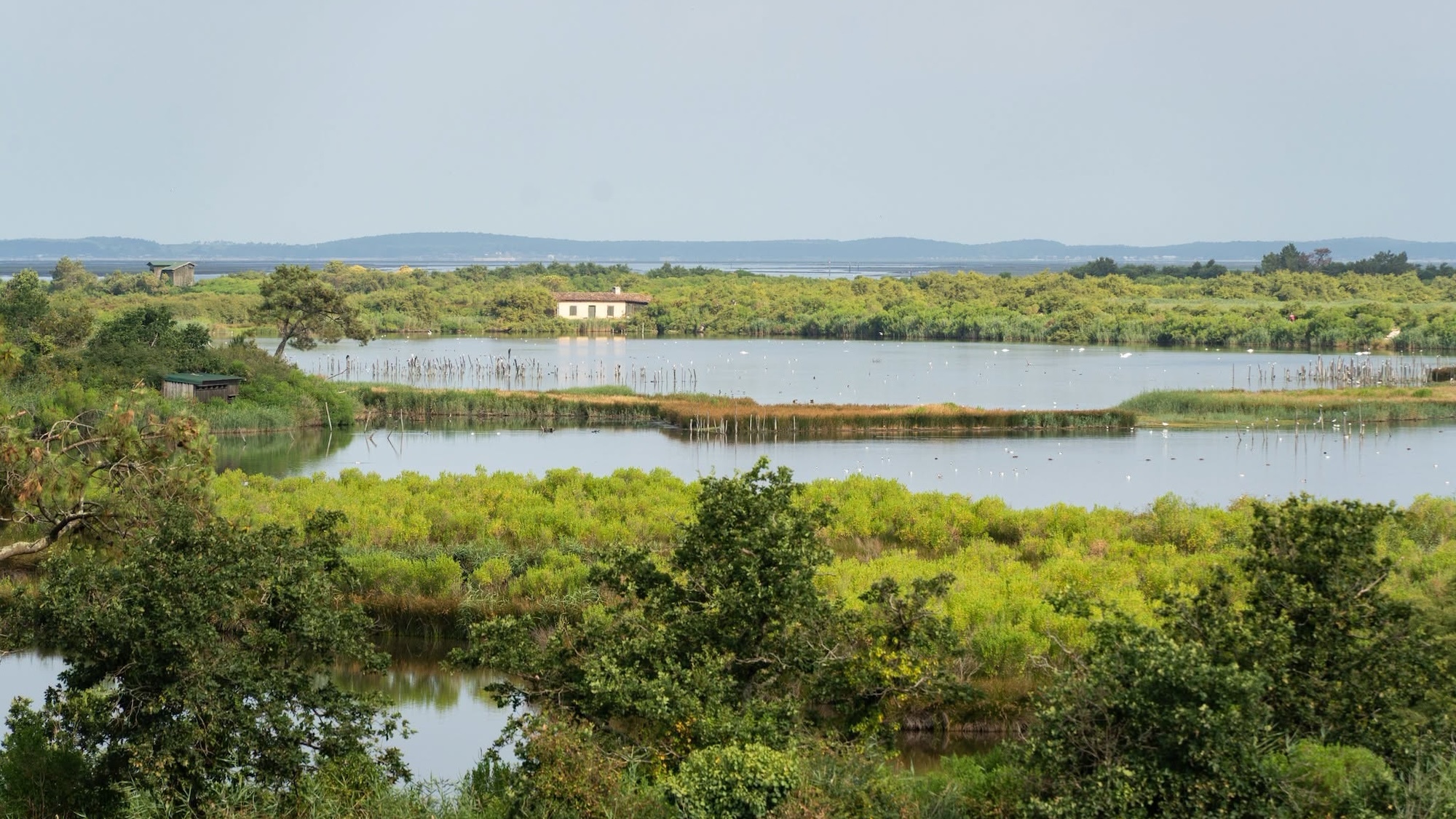 reserve-ornithologique-teich