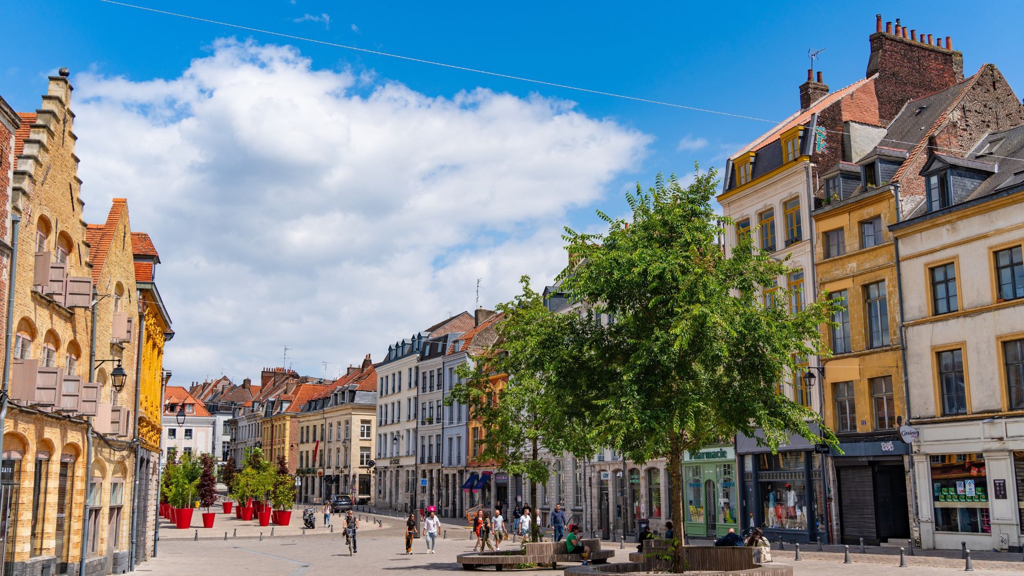 vieux-lille-arbres-maisons