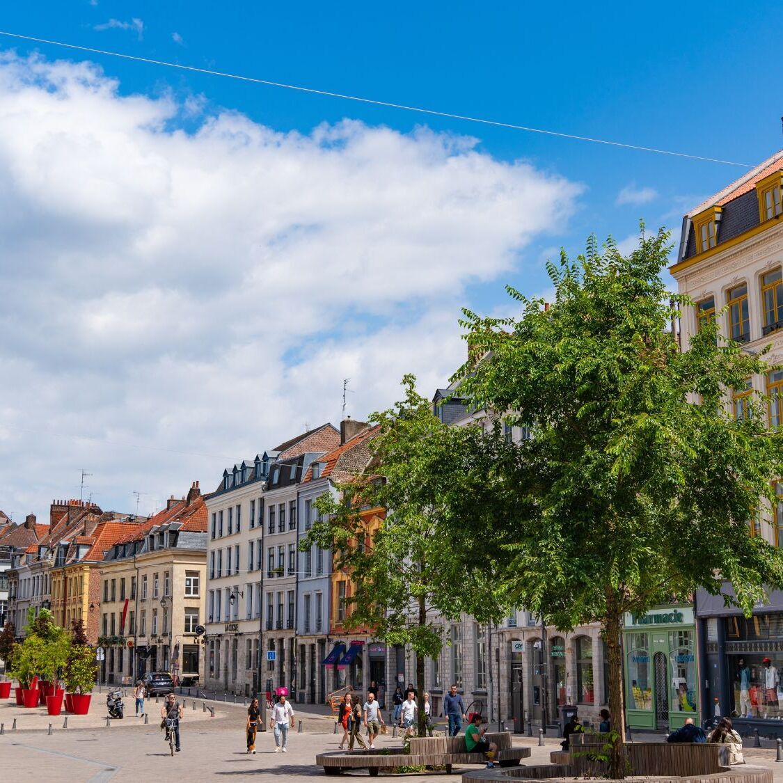 vieux-lille-arbres-maisons
