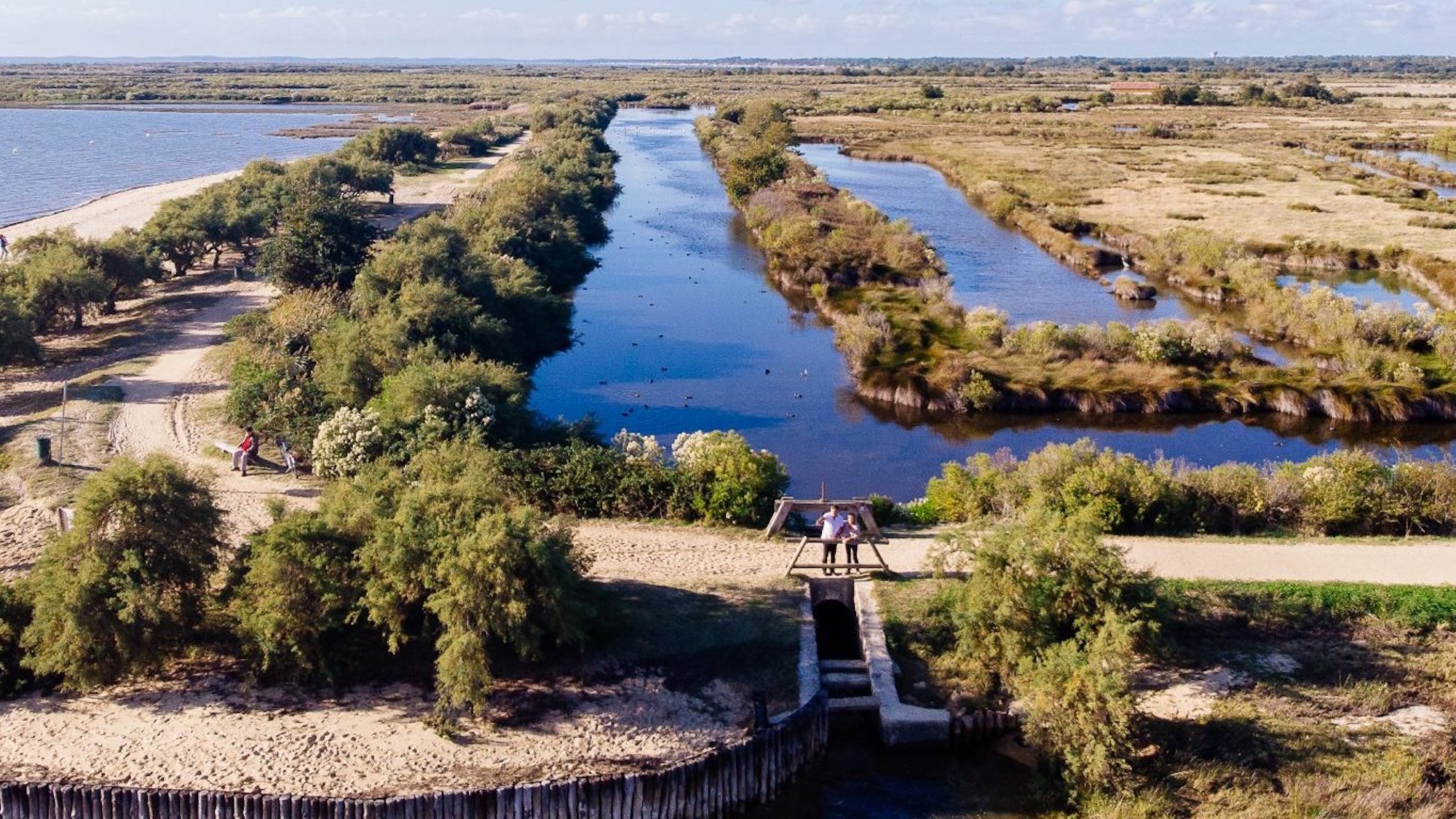 À moins d’1h de Bordeaux, ce domaine naturel de 530 hectares est l’une des plus belles escapades gratuites de Gironde domaine-certes-graveyron