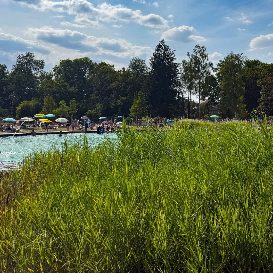 baignade-biologique-connantre