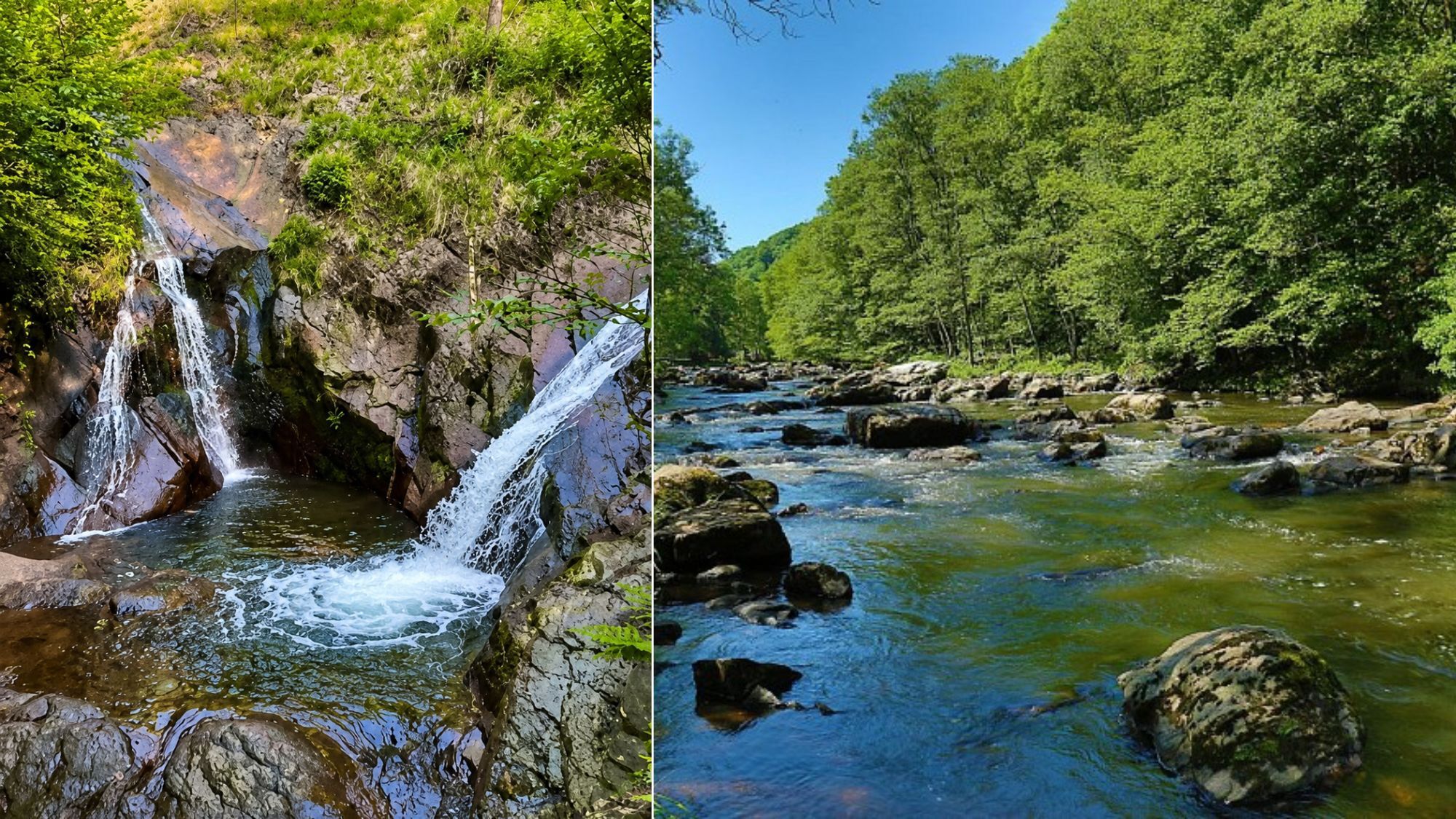 cascade-riviere-arbres
