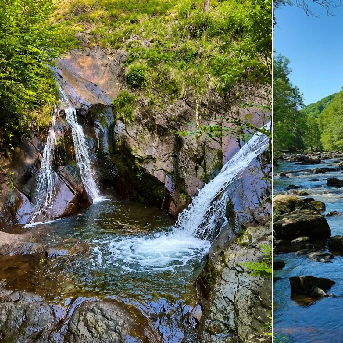 cascade-riviere-arbres