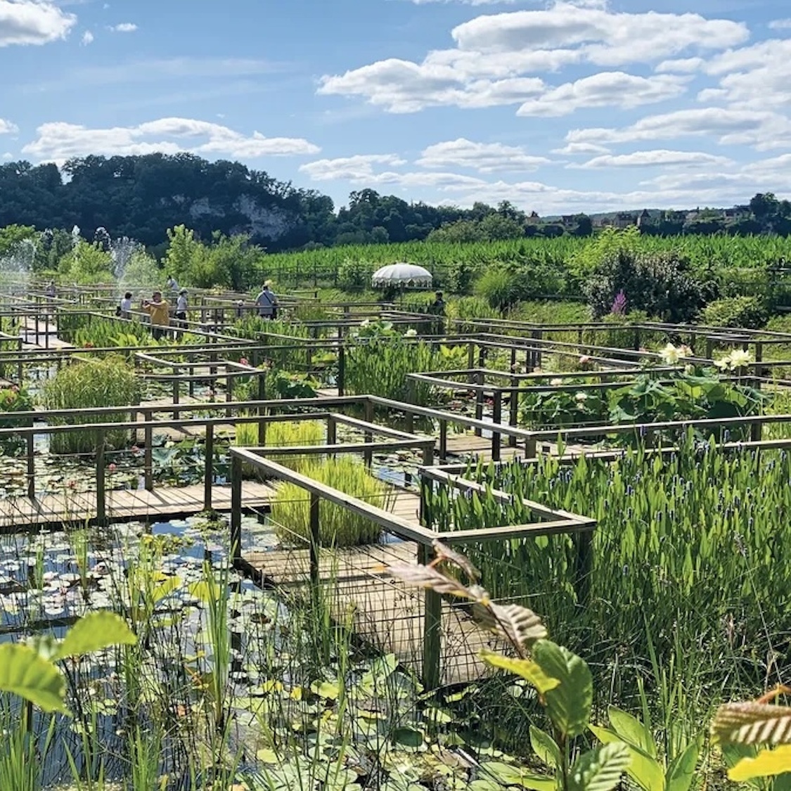 Le seul et unique labyrinthe aquatique d'Europe se situe à 2h30 de Bordeaux jardins-eau-carsac