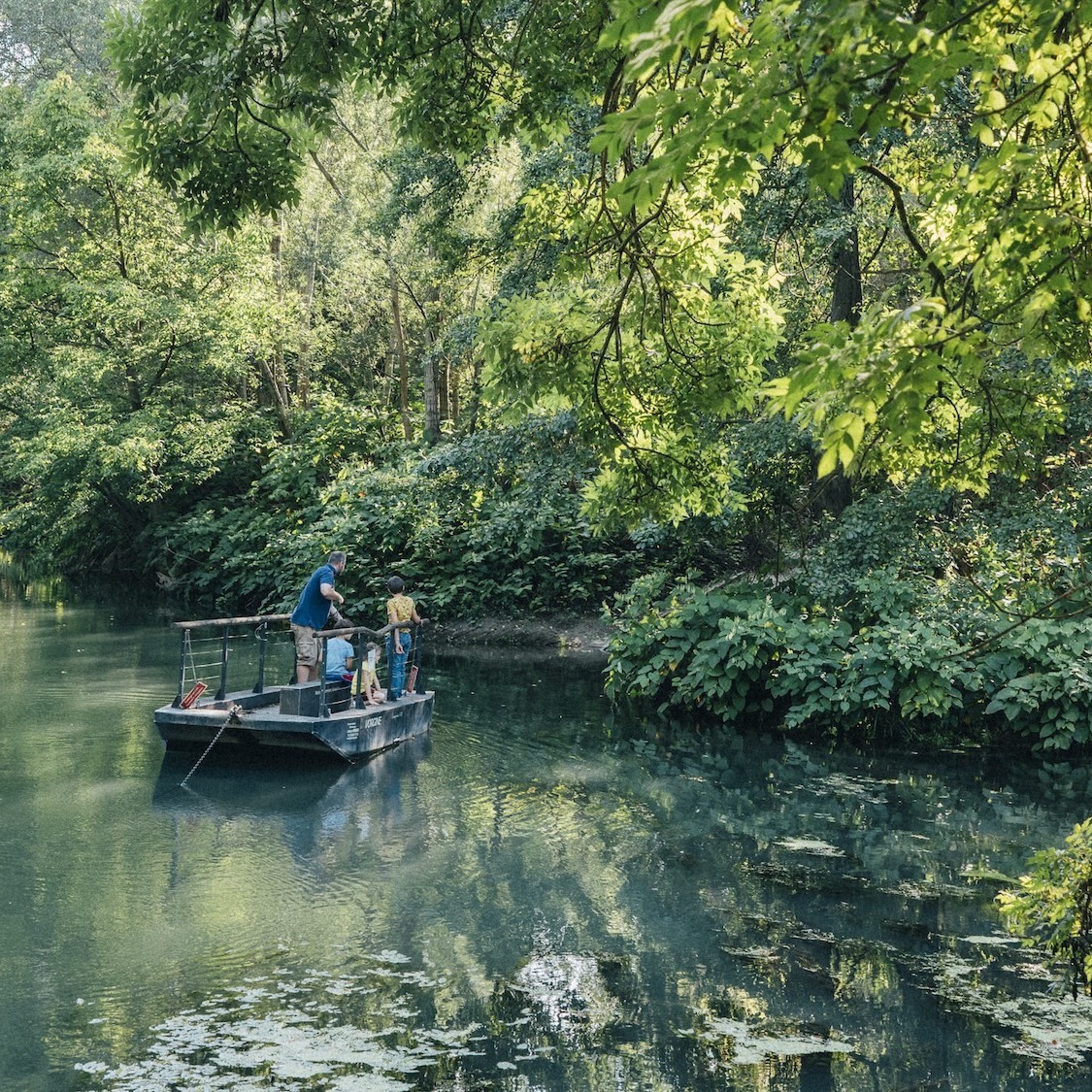 a-1h-lyon-ile-platiere-sauvage-paradis-foret-jungl