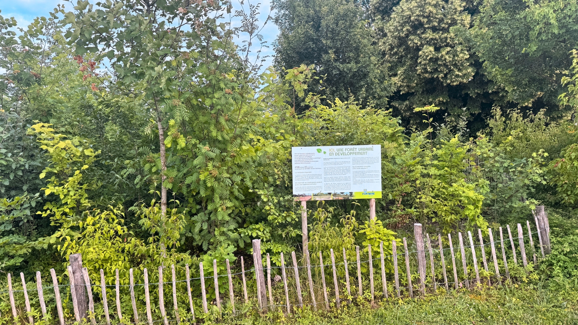 foret-urbaine-dijon