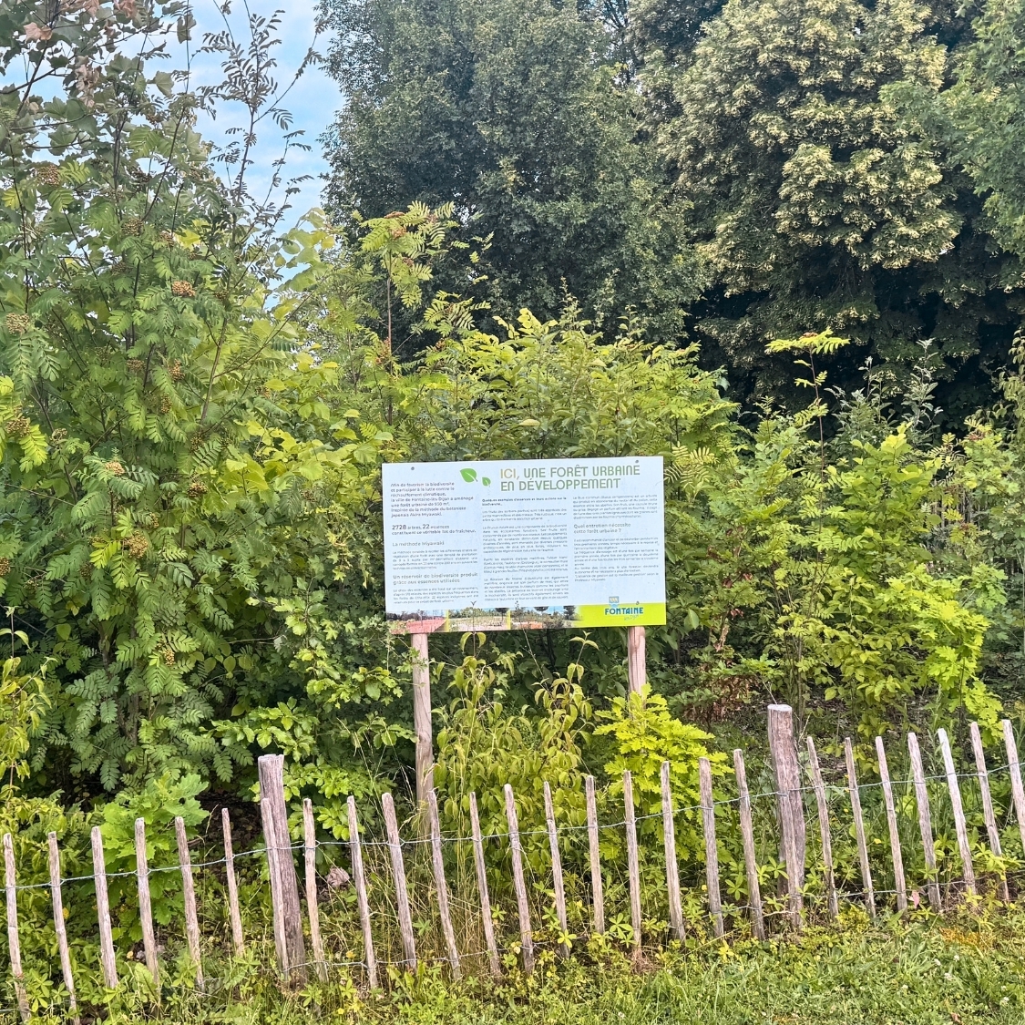 foret-urbaine-dijon