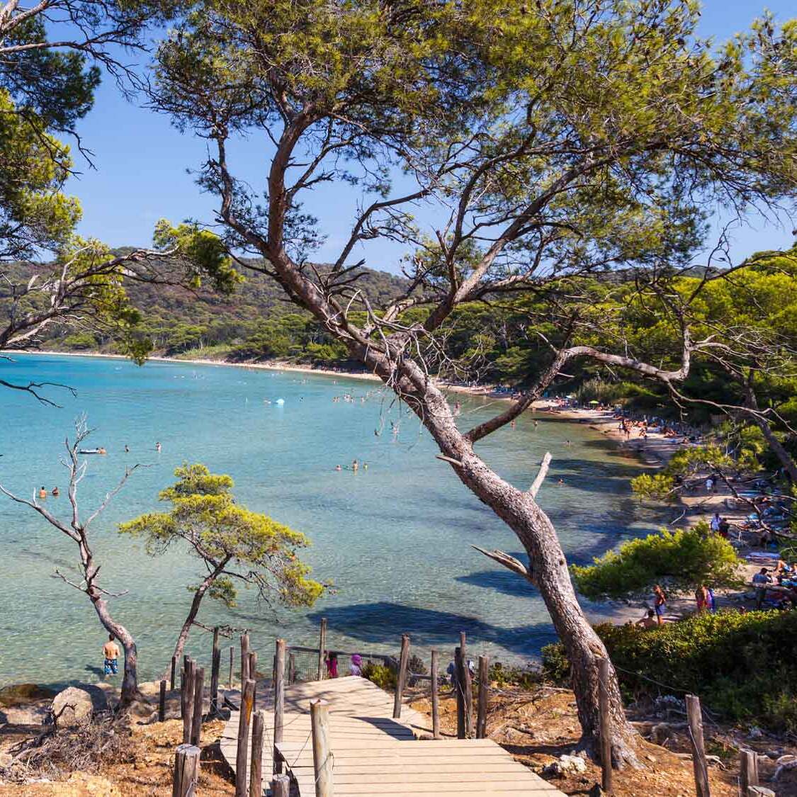 ile-sauvage-sans-voiture-marseille