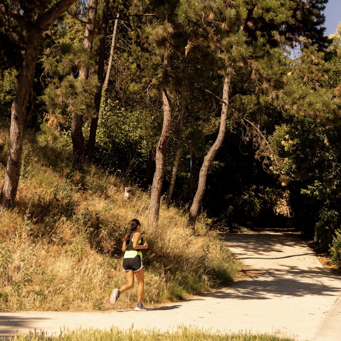 Bien moins fréquenté que les Buttes Chaumont, ce parc est le spot parfait pour vos joggings capture-d-e-cran-2026-07-21-a-17-36-06