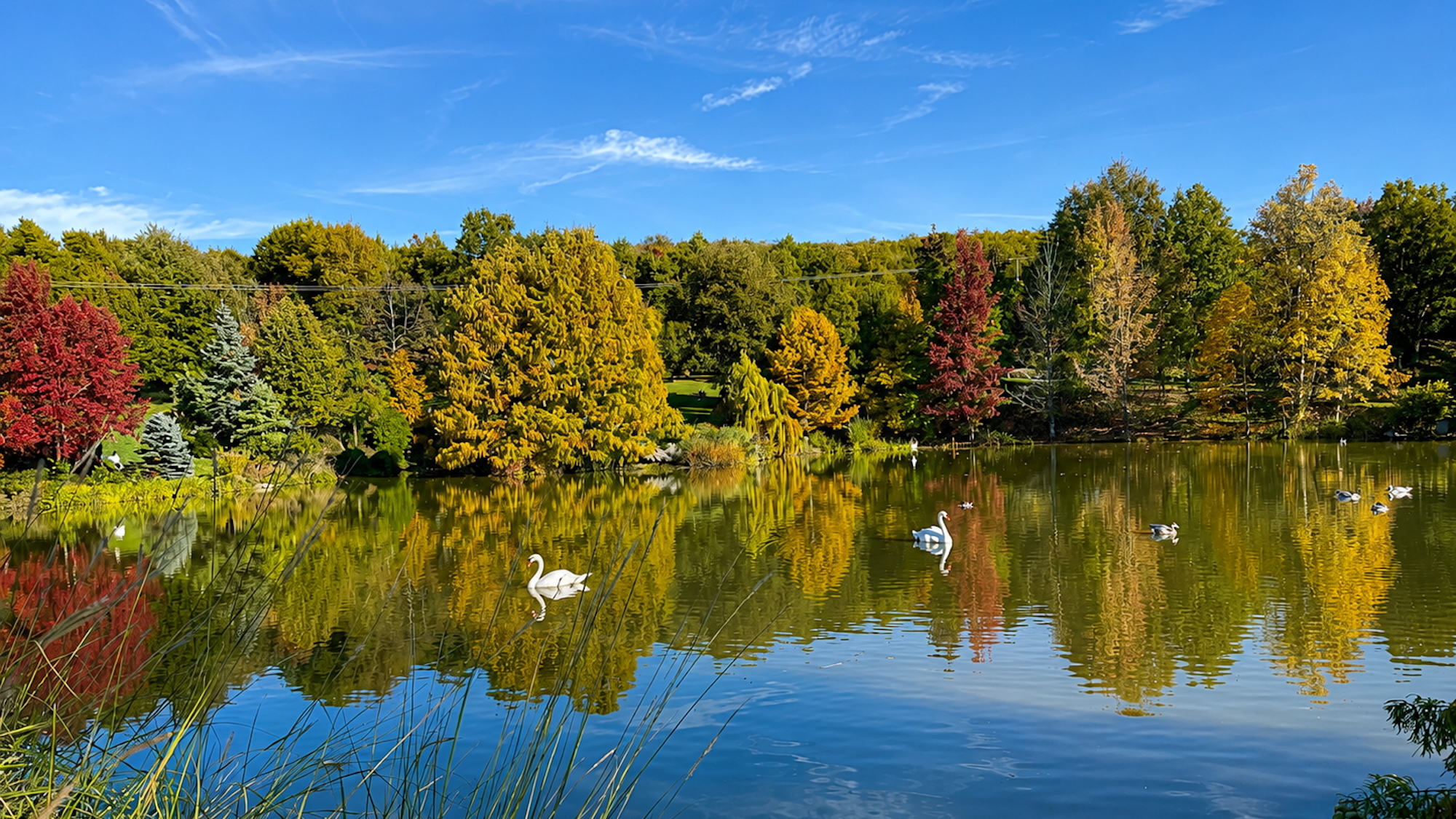 40-km-lyon-jardin-anglais-meconnu-plus-beaux-franc