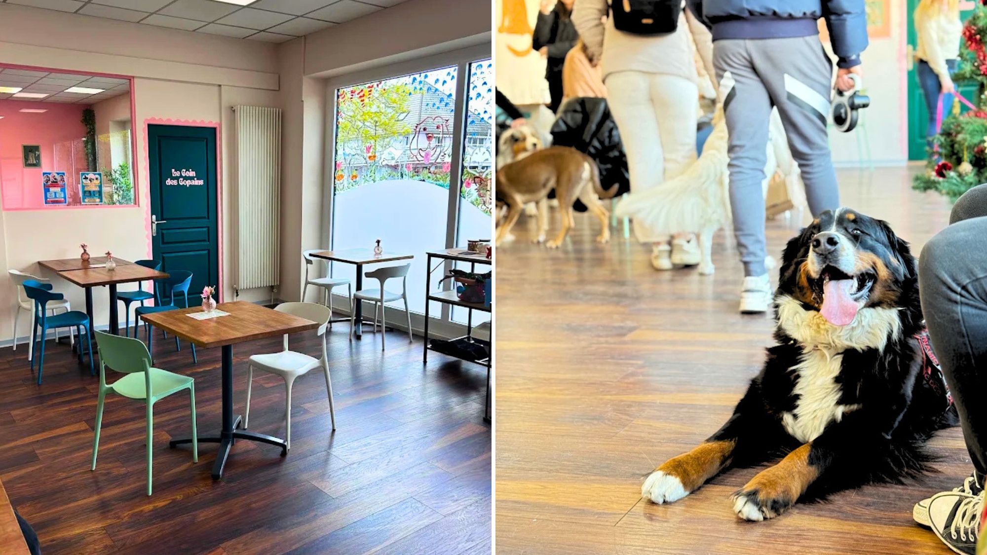 le-troquet-des-poilus-strasbourg-alsace