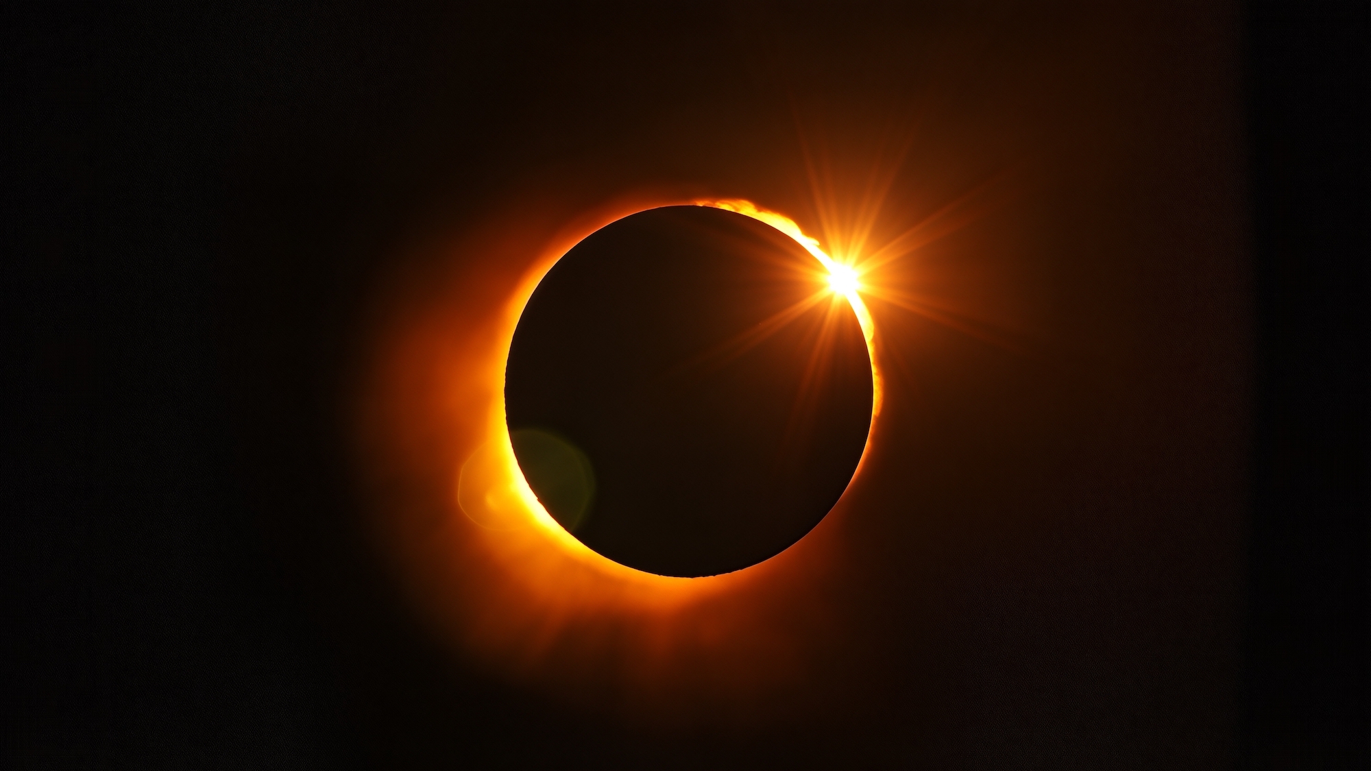 shutterstock-2721940249