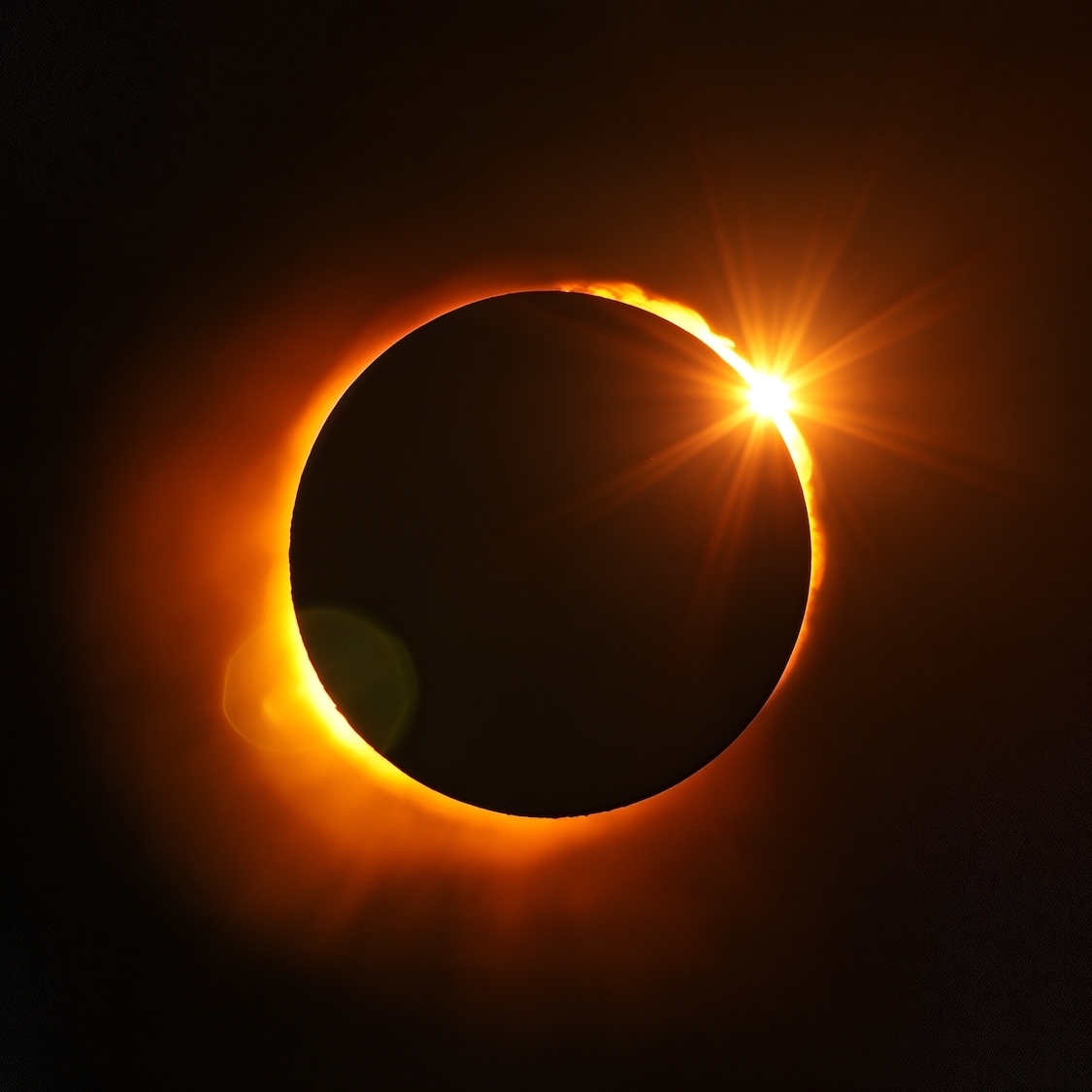 shutterstock-2721940249