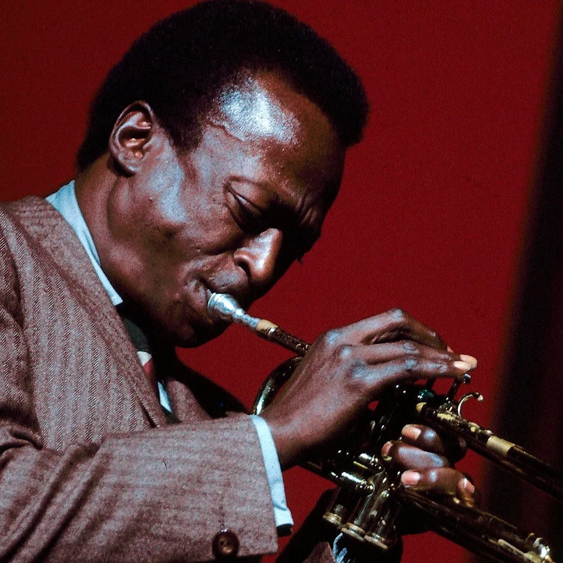 Une exposition immersive et gratuite dédiée au trompettiste Miles Davis à 30 minutes de Lyon exposition-immersive-gratuite-miles-davis-30-minut