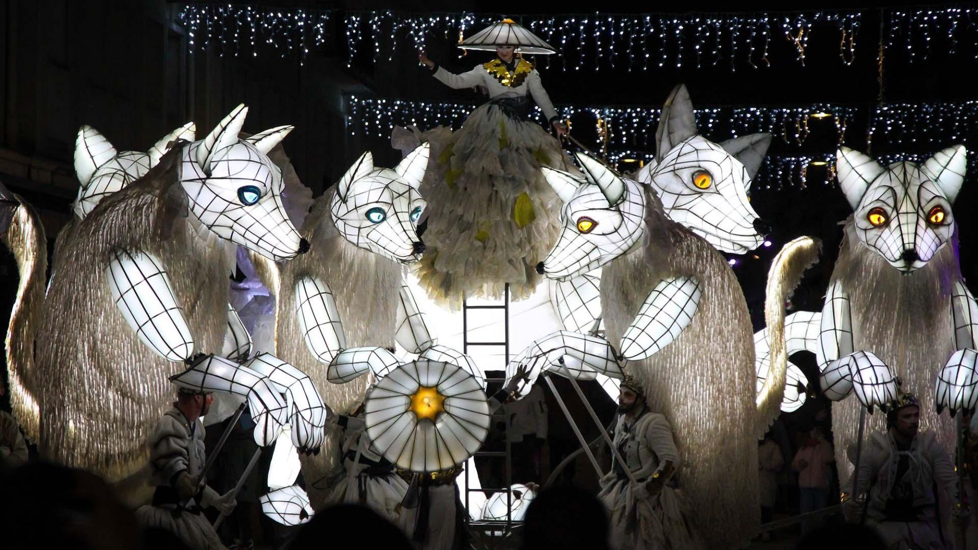 renards-lumineux-nuit-lumieres