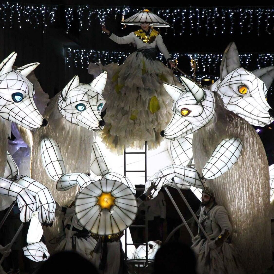 renards-lumineux-nuit-lumieres