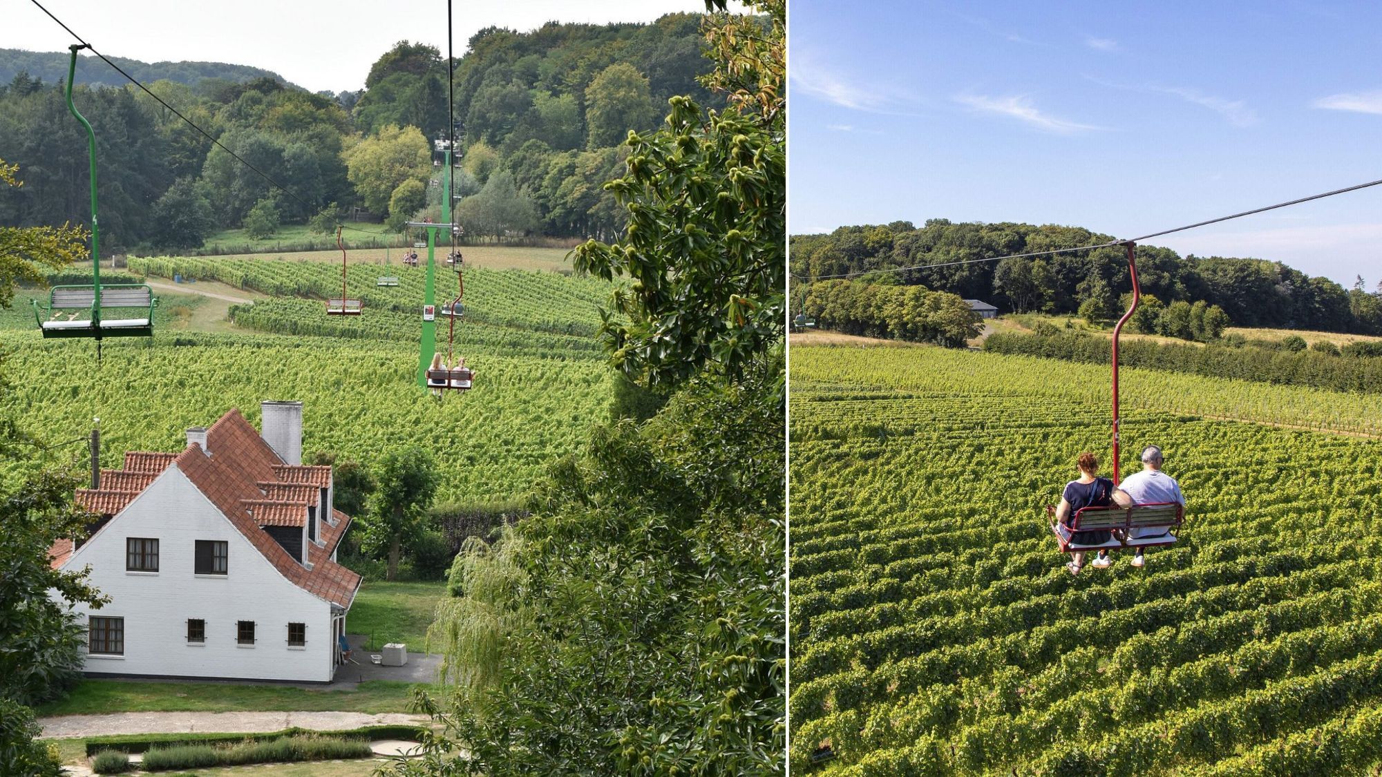 telesiege-vignes-maison