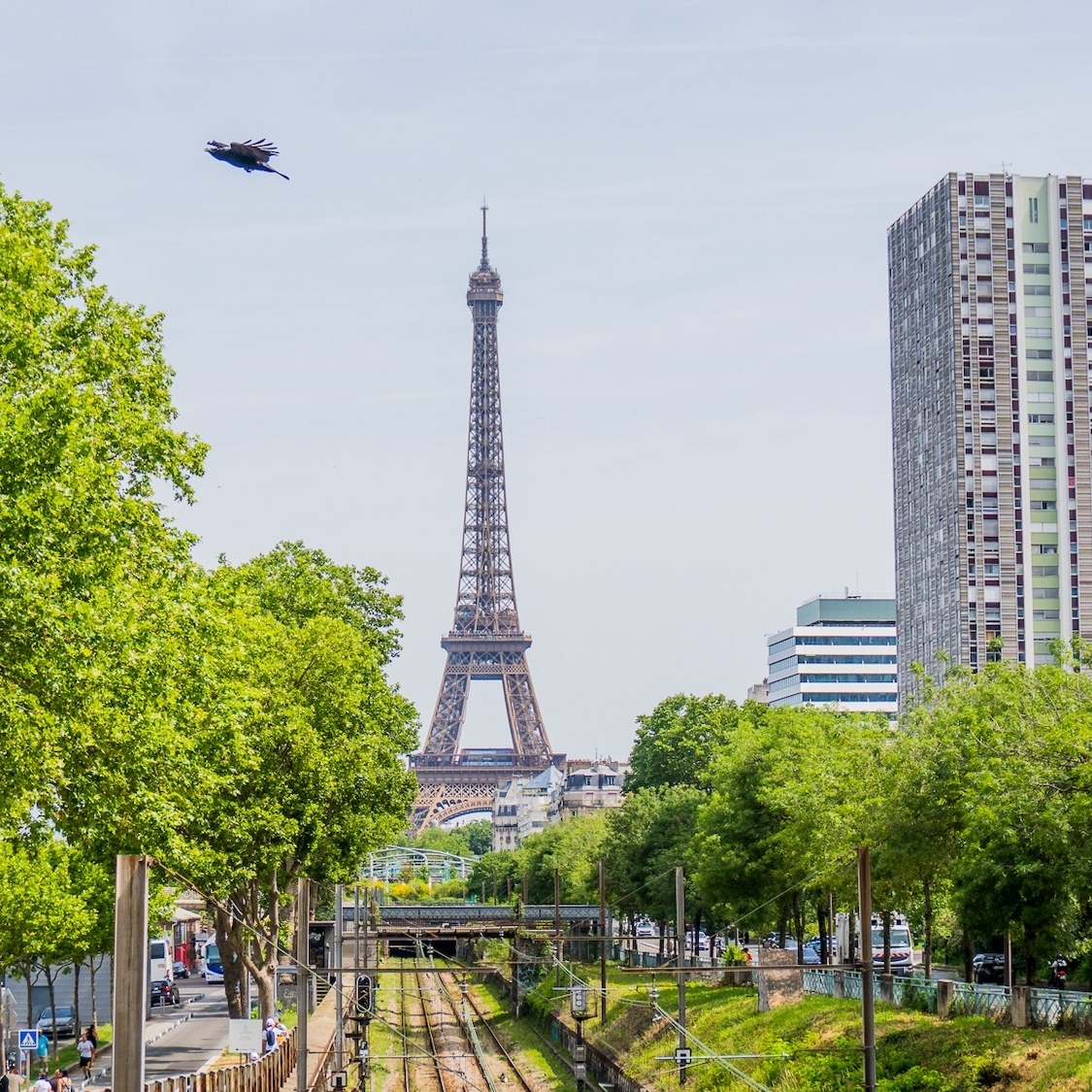 Que faire à Paris cette semaine ? (1er-7 juin) jagoda-bartus-le-bonbon