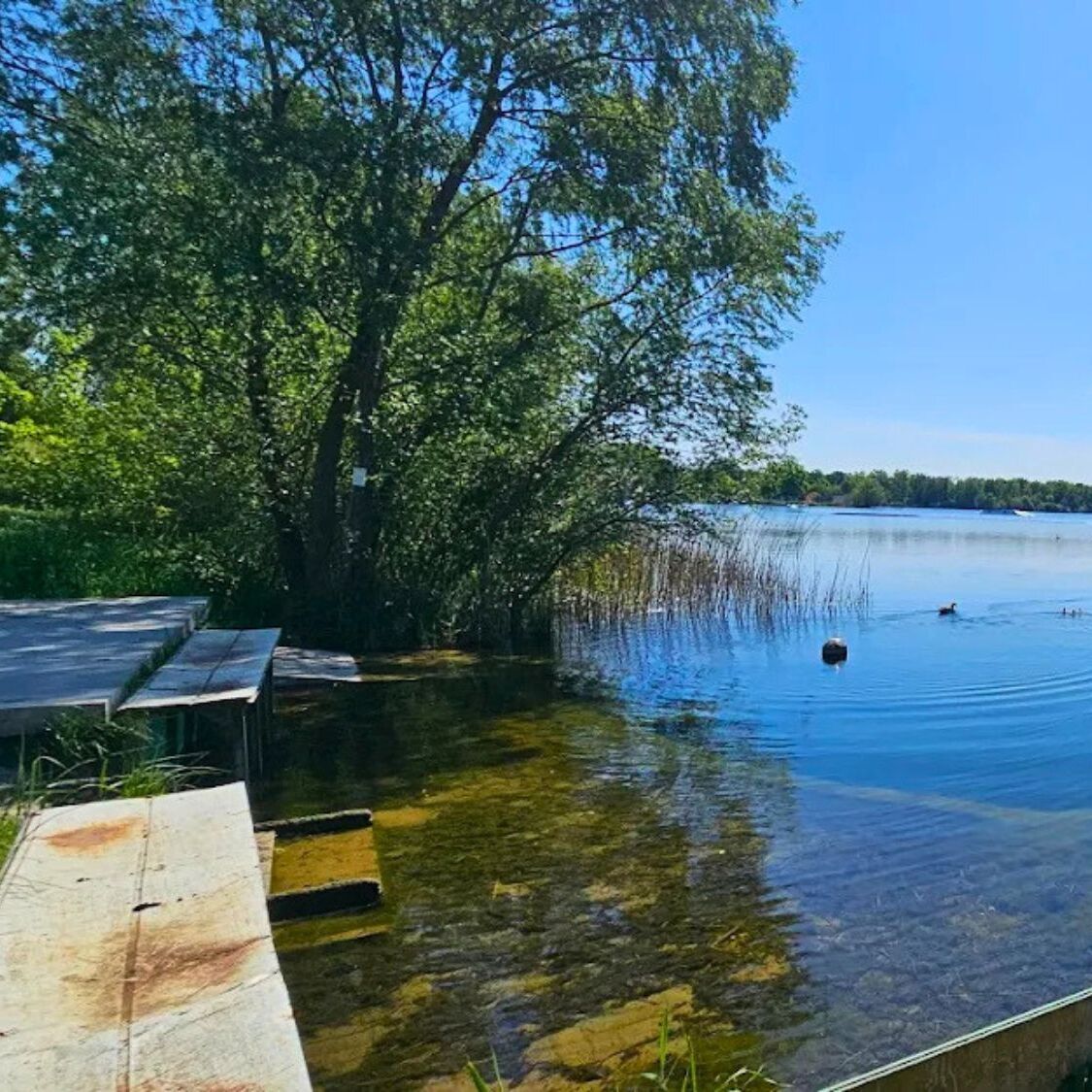 spot-baignade-strasbourg