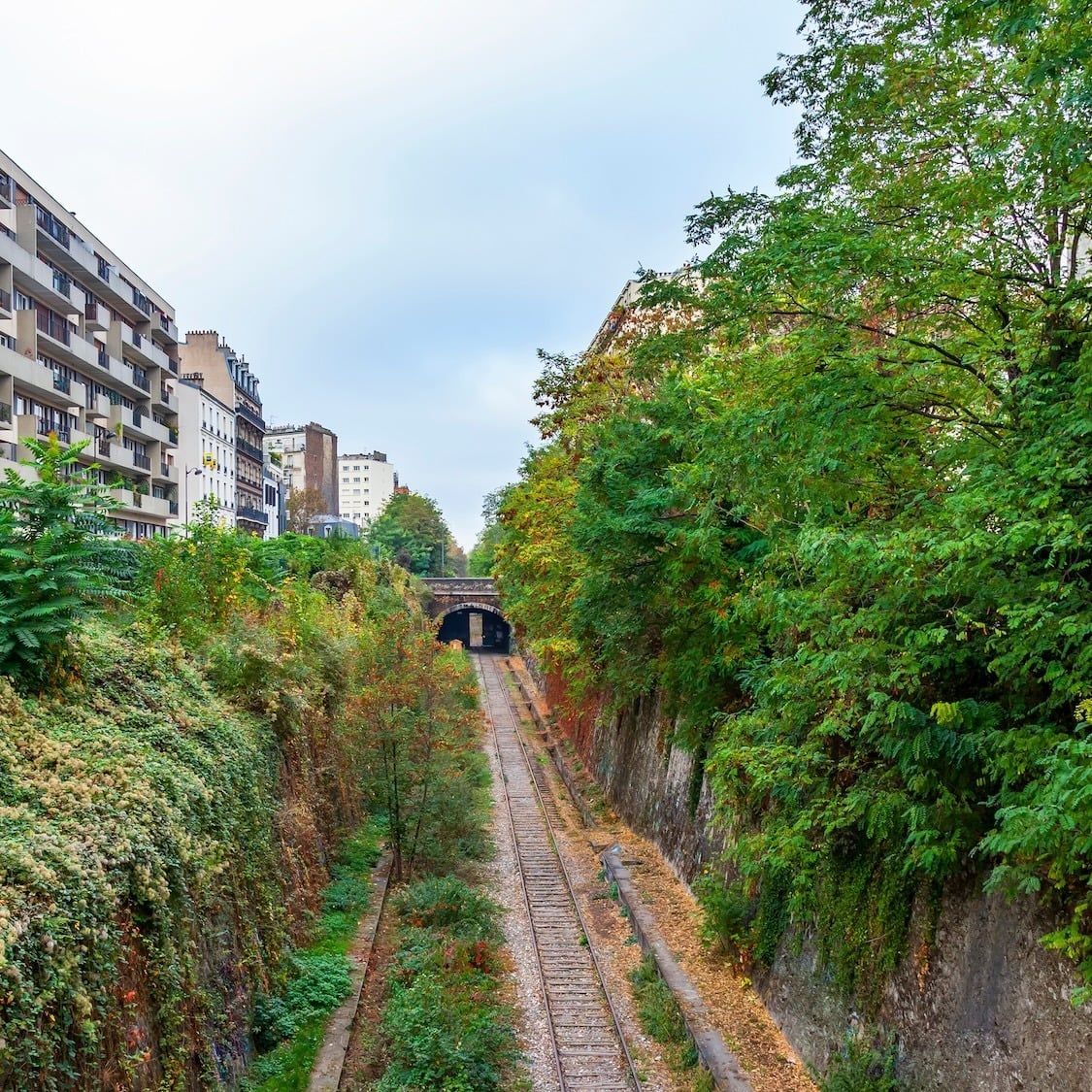petite-ceinture-bellena-shutterstock