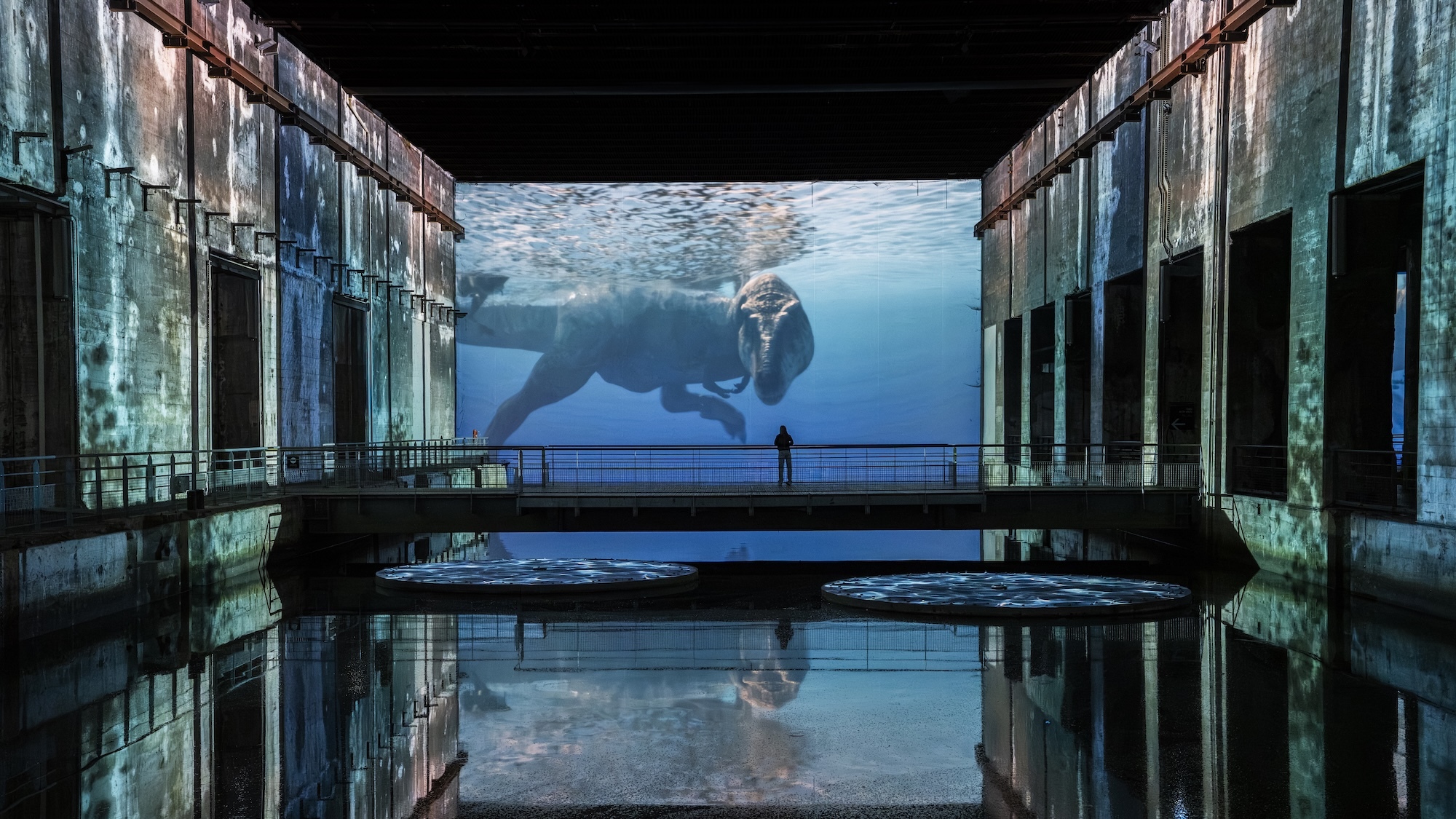 Une gigantesque exposition en lumière sur les dinosaures va remonter 66 millions d’années en arrière à Bordeaux dinosaures-aux-bassins-lumieres
