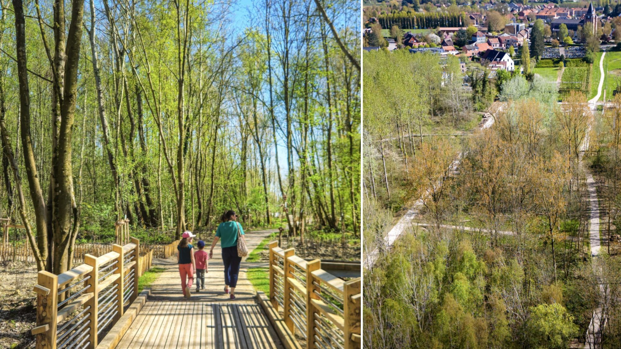 parc-arbres-enfants-pont