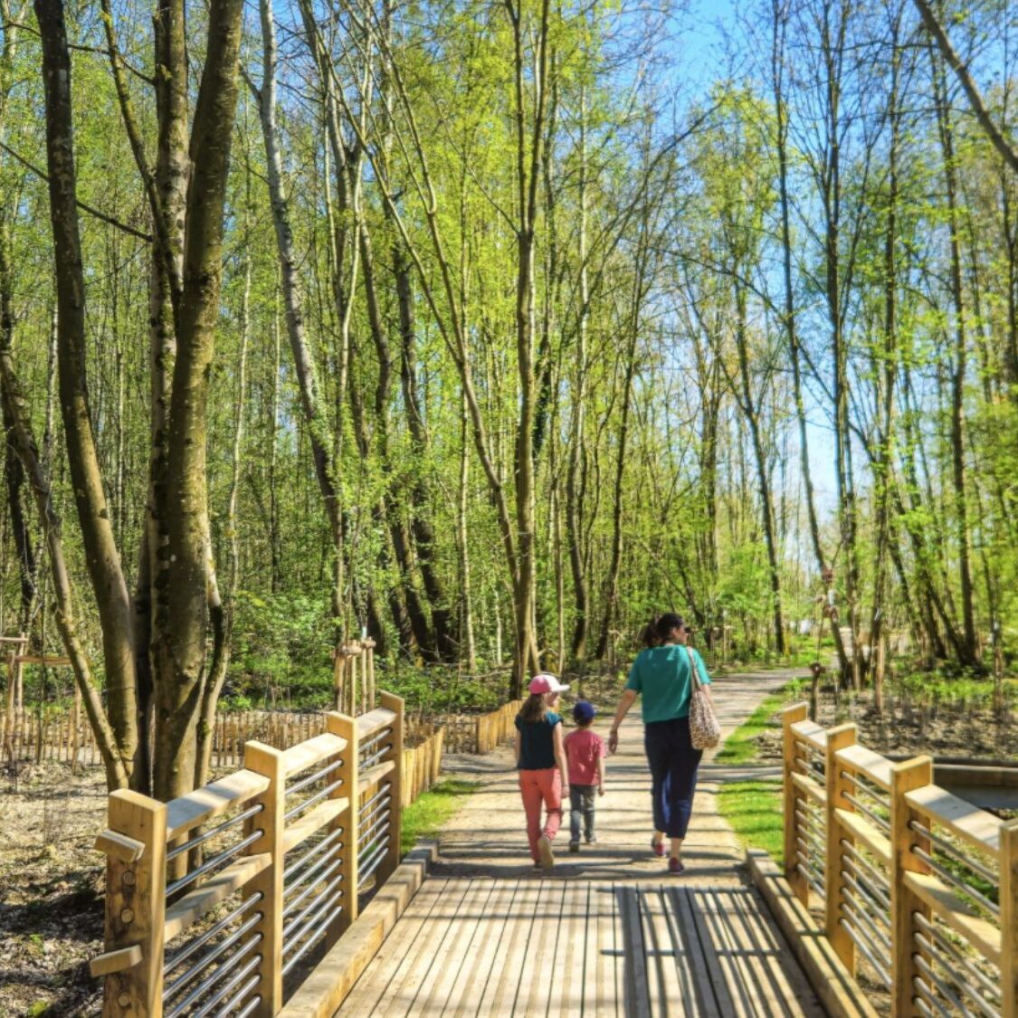 parc-arbres-enfants-pont