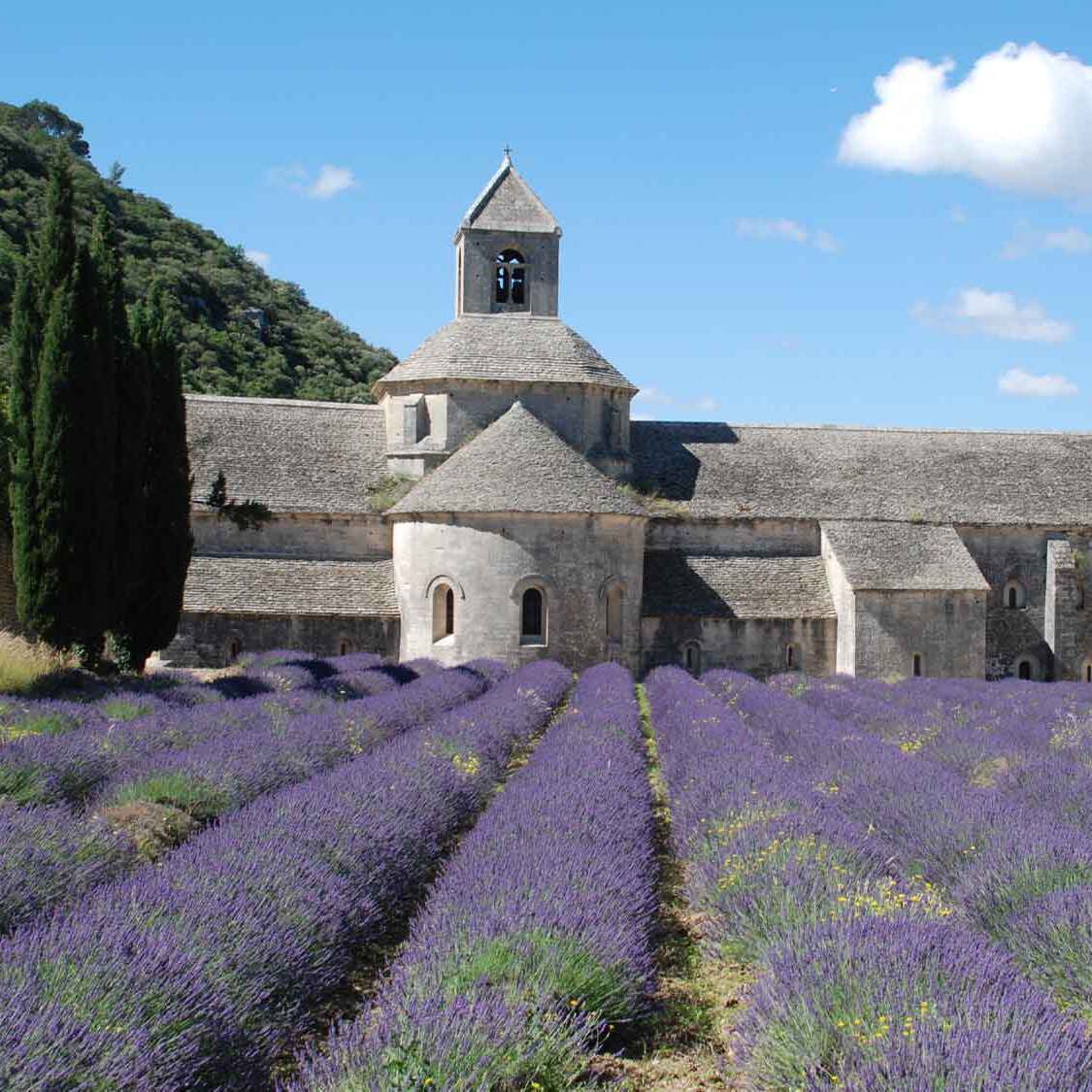Cette abbaye provençale à 1h30 de Marseille élue parmi les plus beaux lieux d'Europe abbaye-provencale-marseille