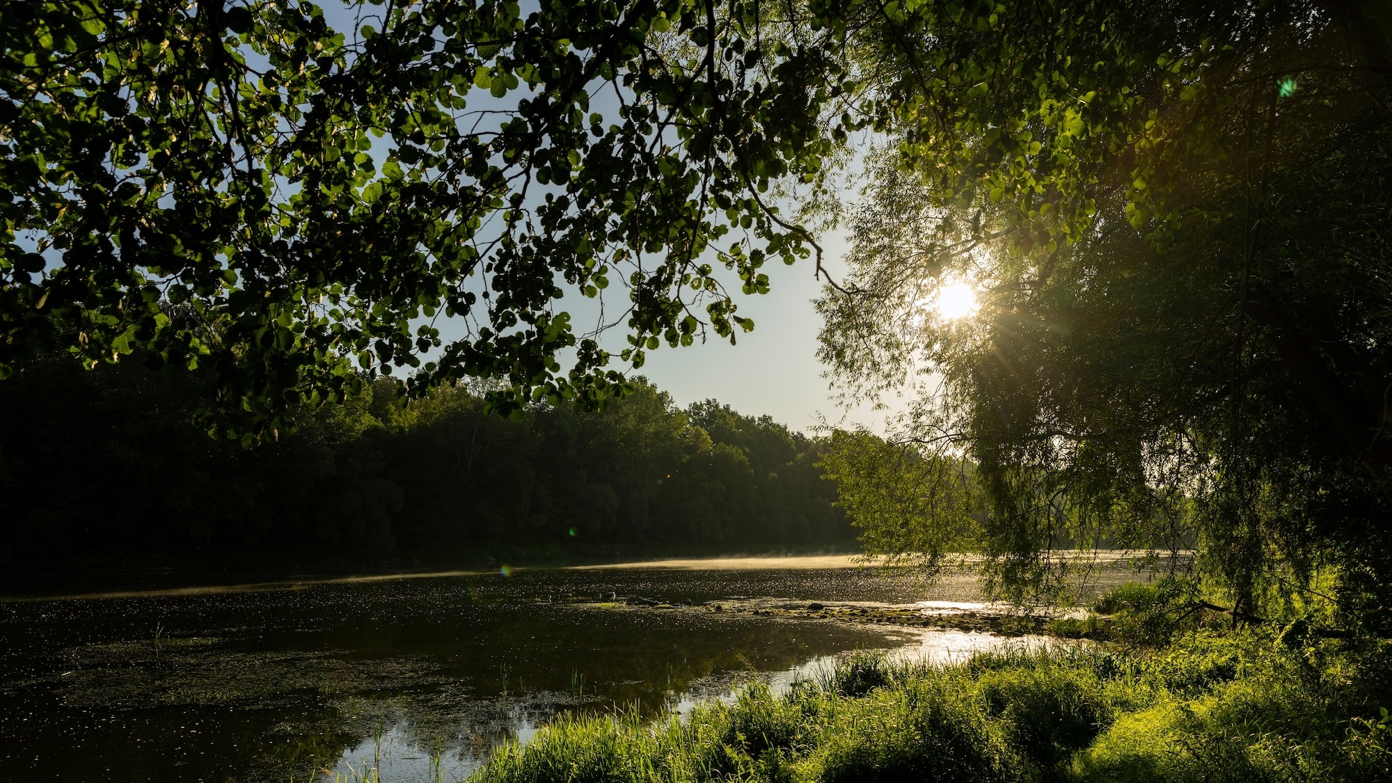 shutterstock-2437219583