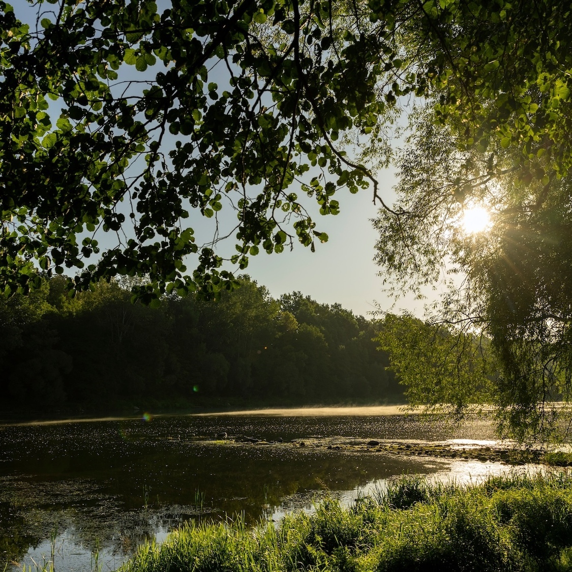 shutterstock-2437219583