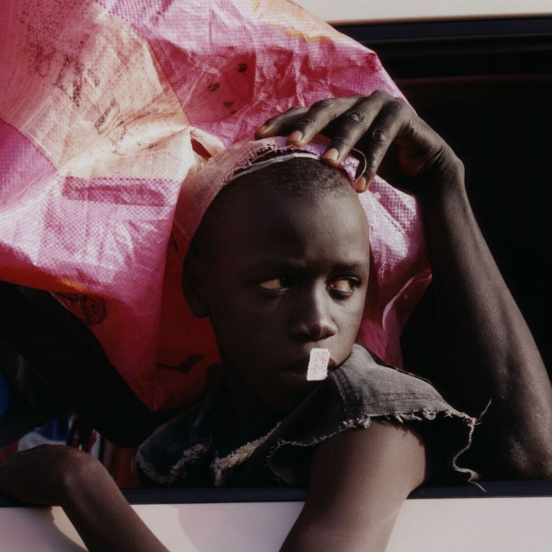 <i>Fragile beauté</i> : la collection photographique engagée d'Elton John s'expose à Paris 1-harley-weir