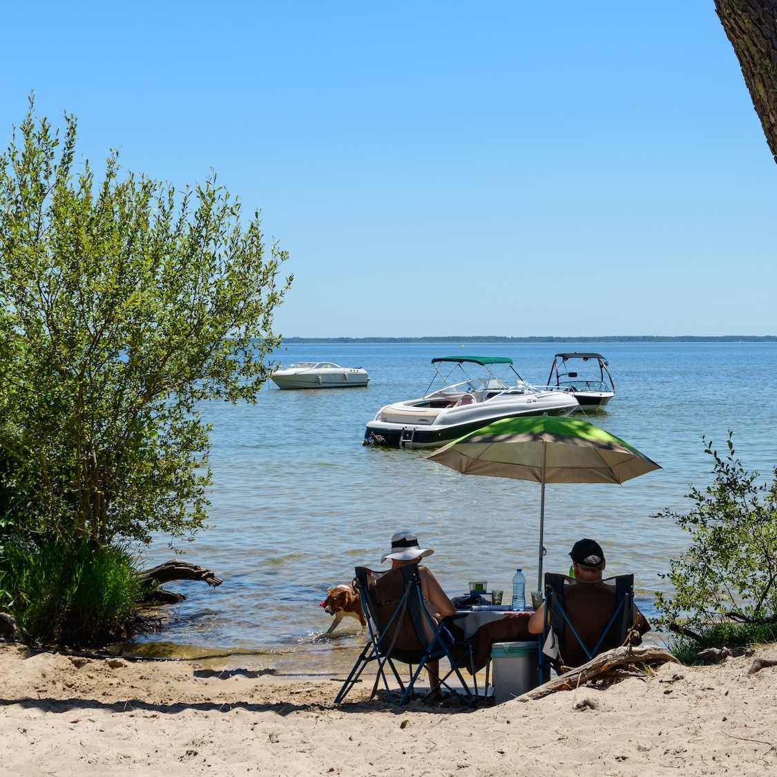 Canicule : Il n'avait pas fait aussi chaud sur le bassin d'Arcachon depuis plus de 100 ans ! canicule-bassin-arcachon