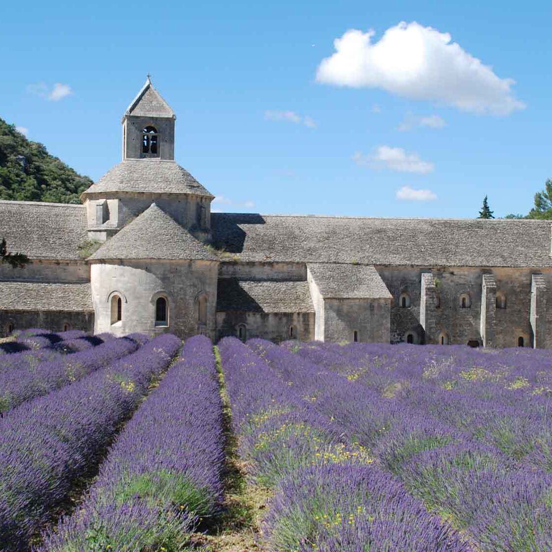 abbaye-provencale-marseille-2-2000