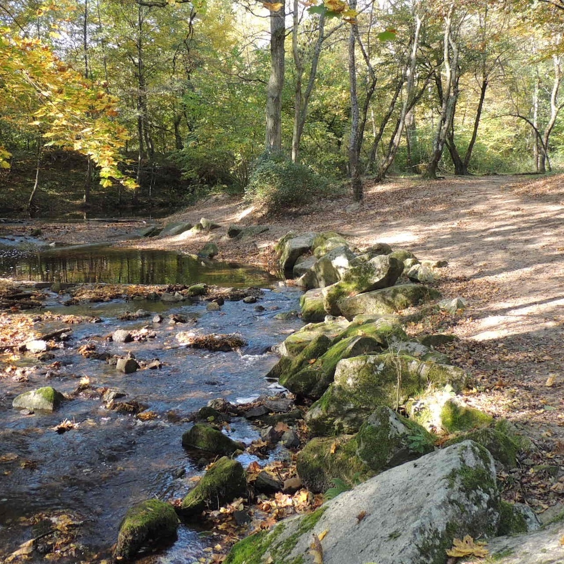 a-20-minutes-lyon-cette-vallee-secrete-est-refuge-