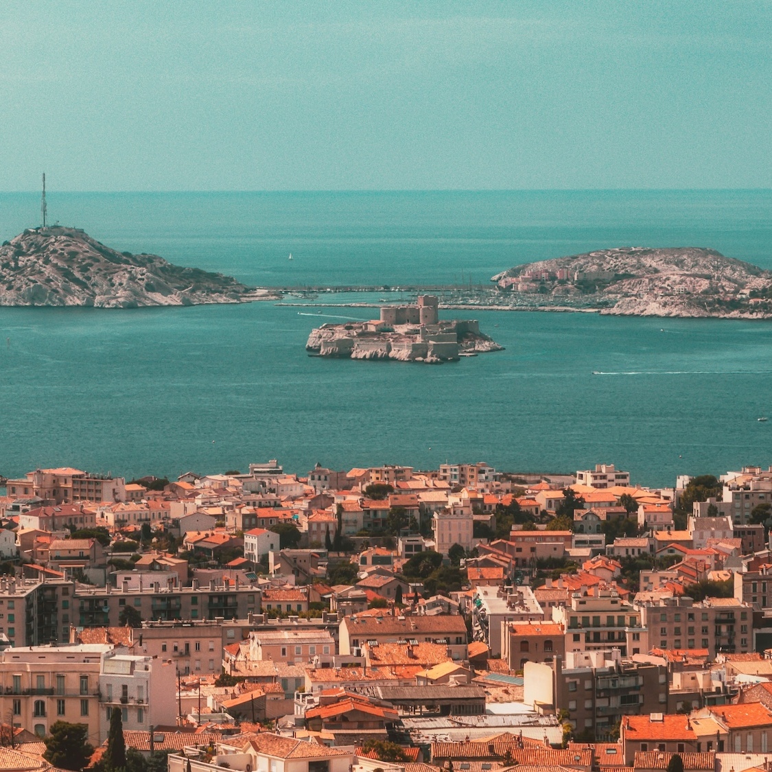 marseille-fred-pet-unsplash