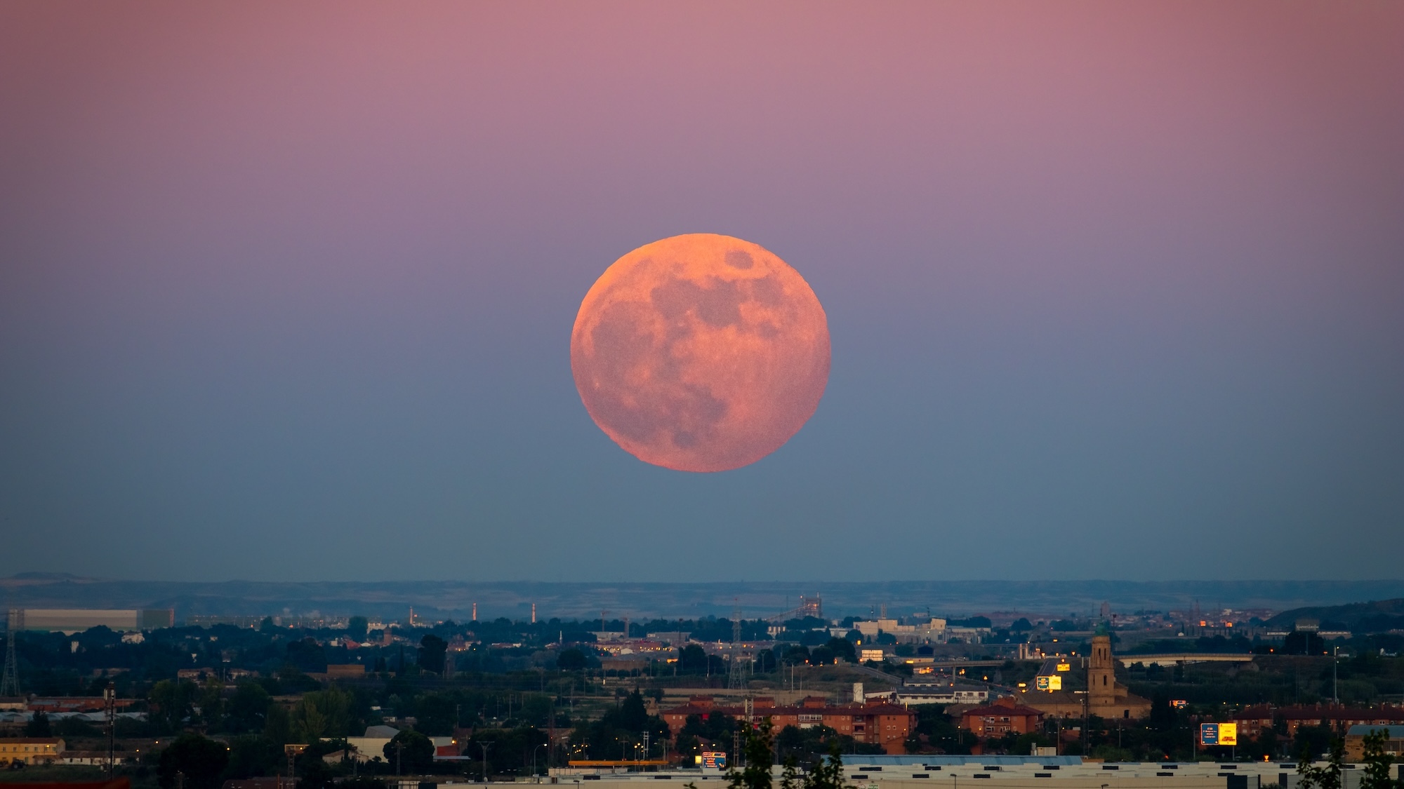 shutterstock-2321501987