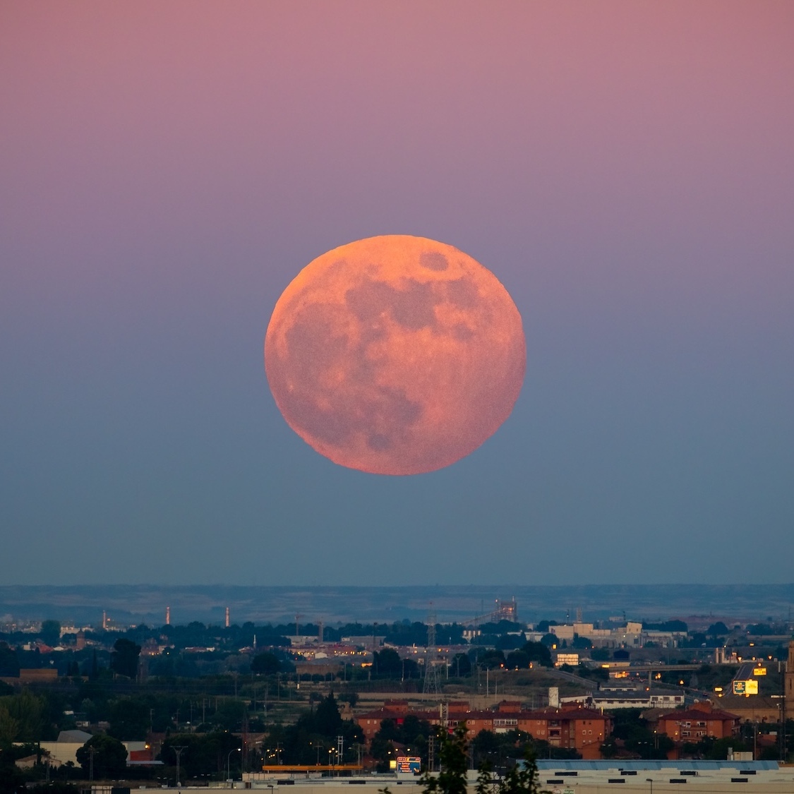 shutterstock-2321501987
