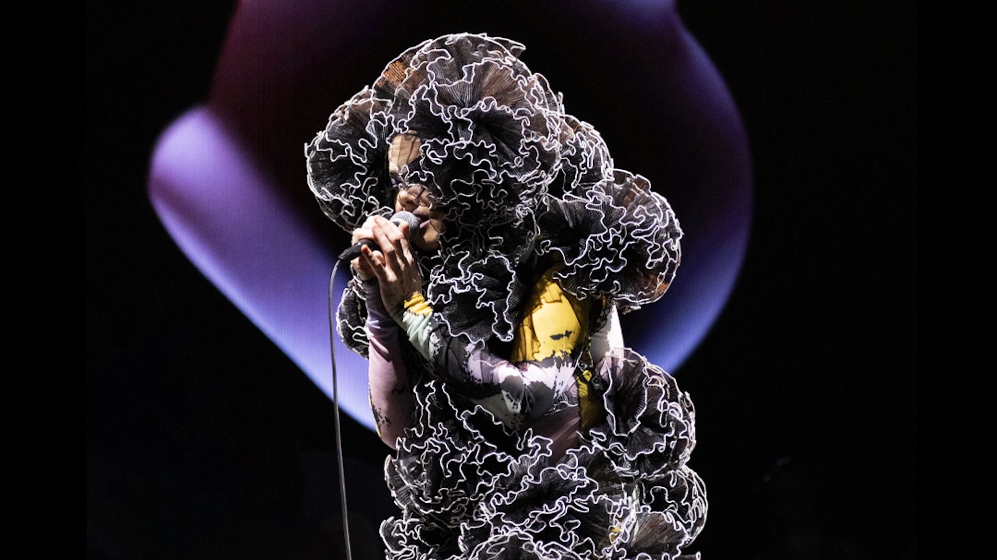 bjork-cornucopia