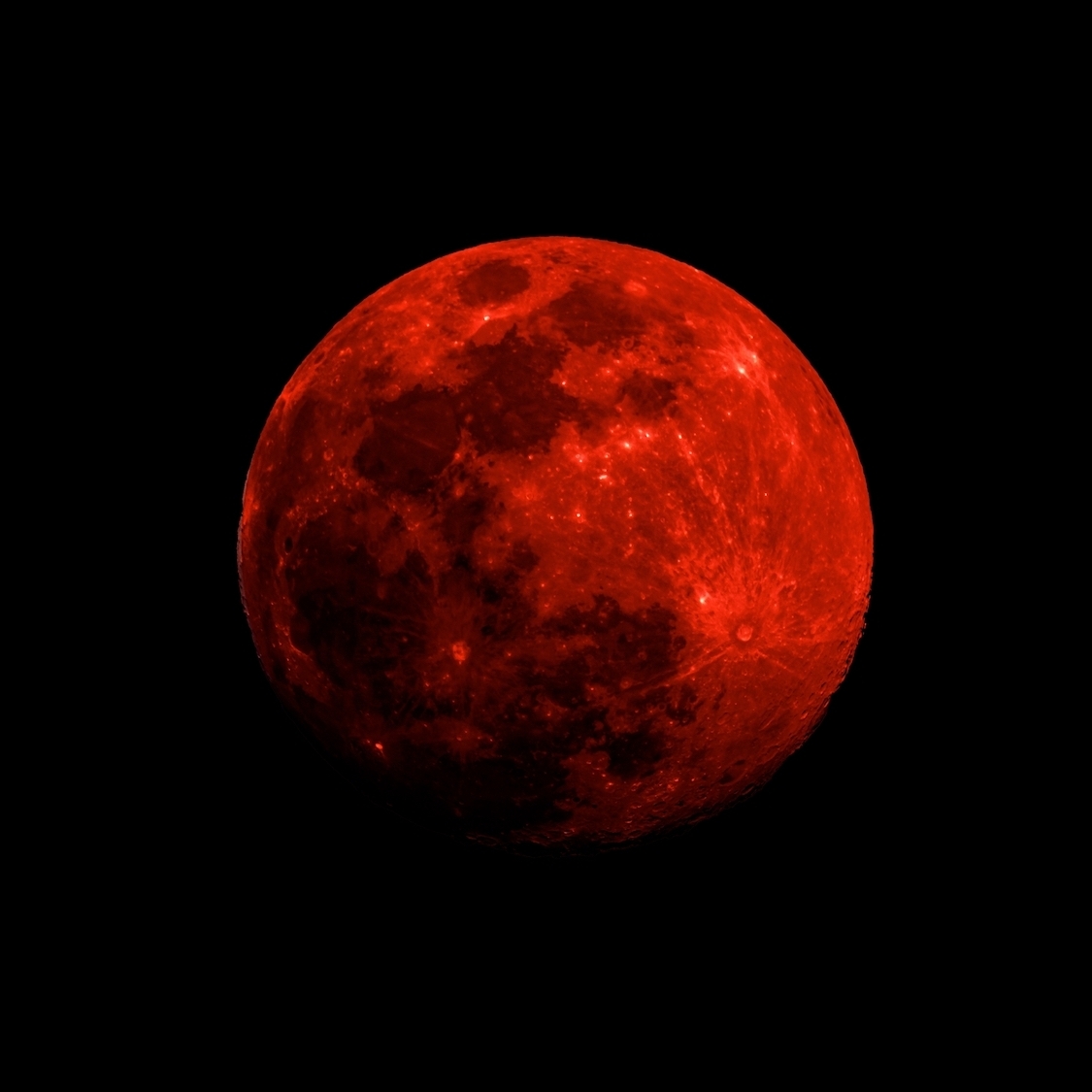 shutterstock-2603690083